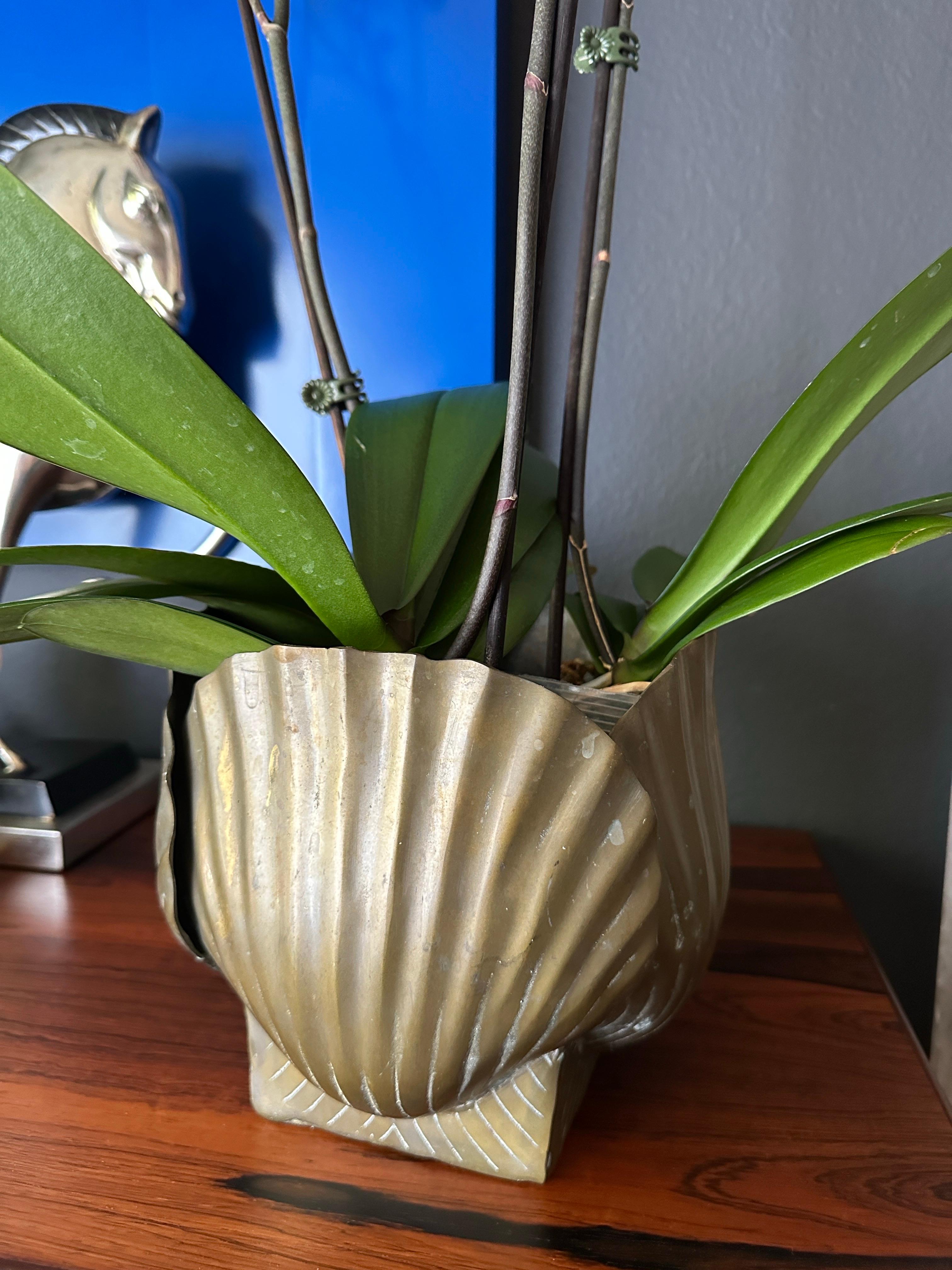 Patinated Brass Sea Shell Planter 7