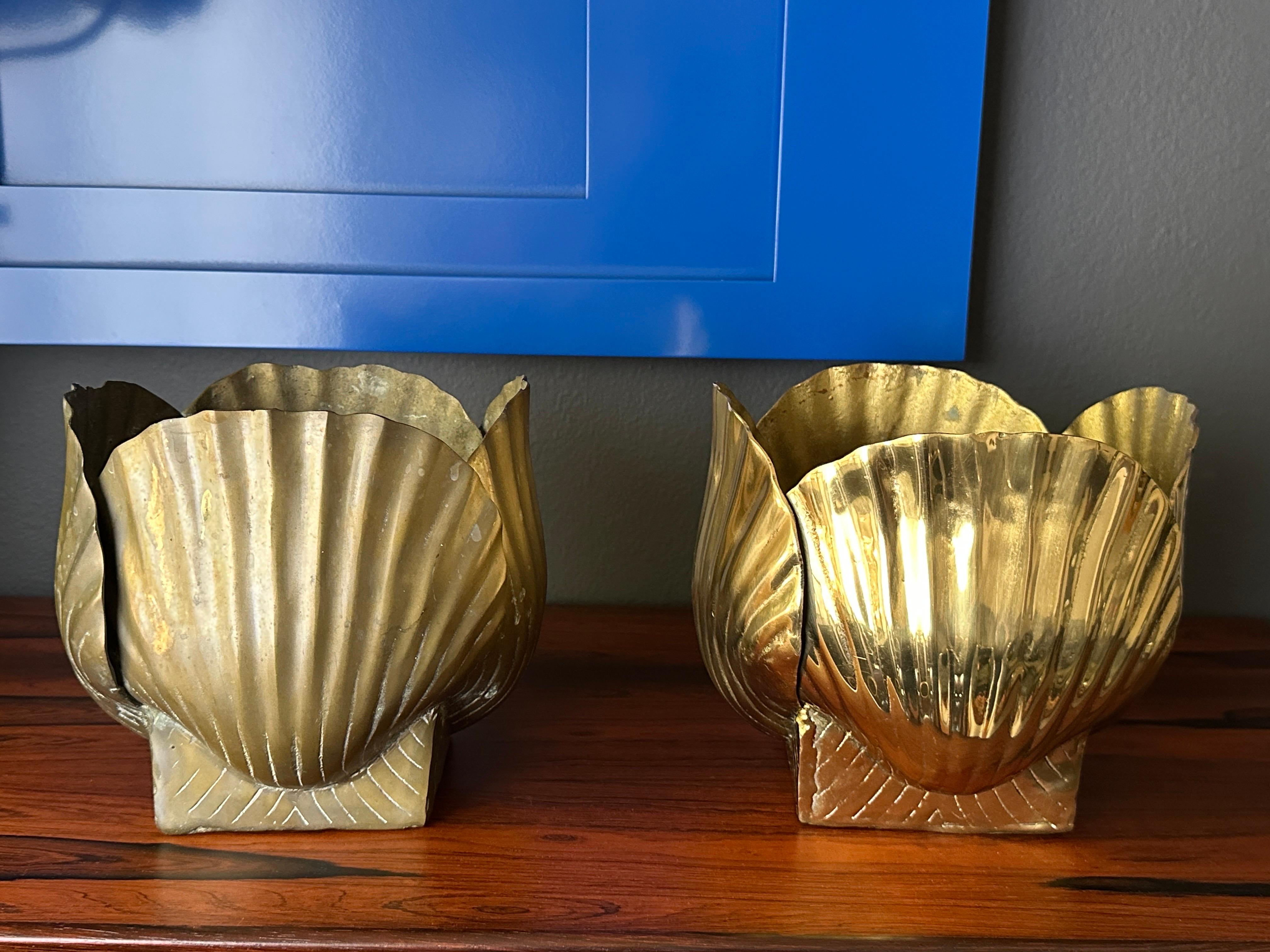 Patinated Brass Sea Shell Planter 9