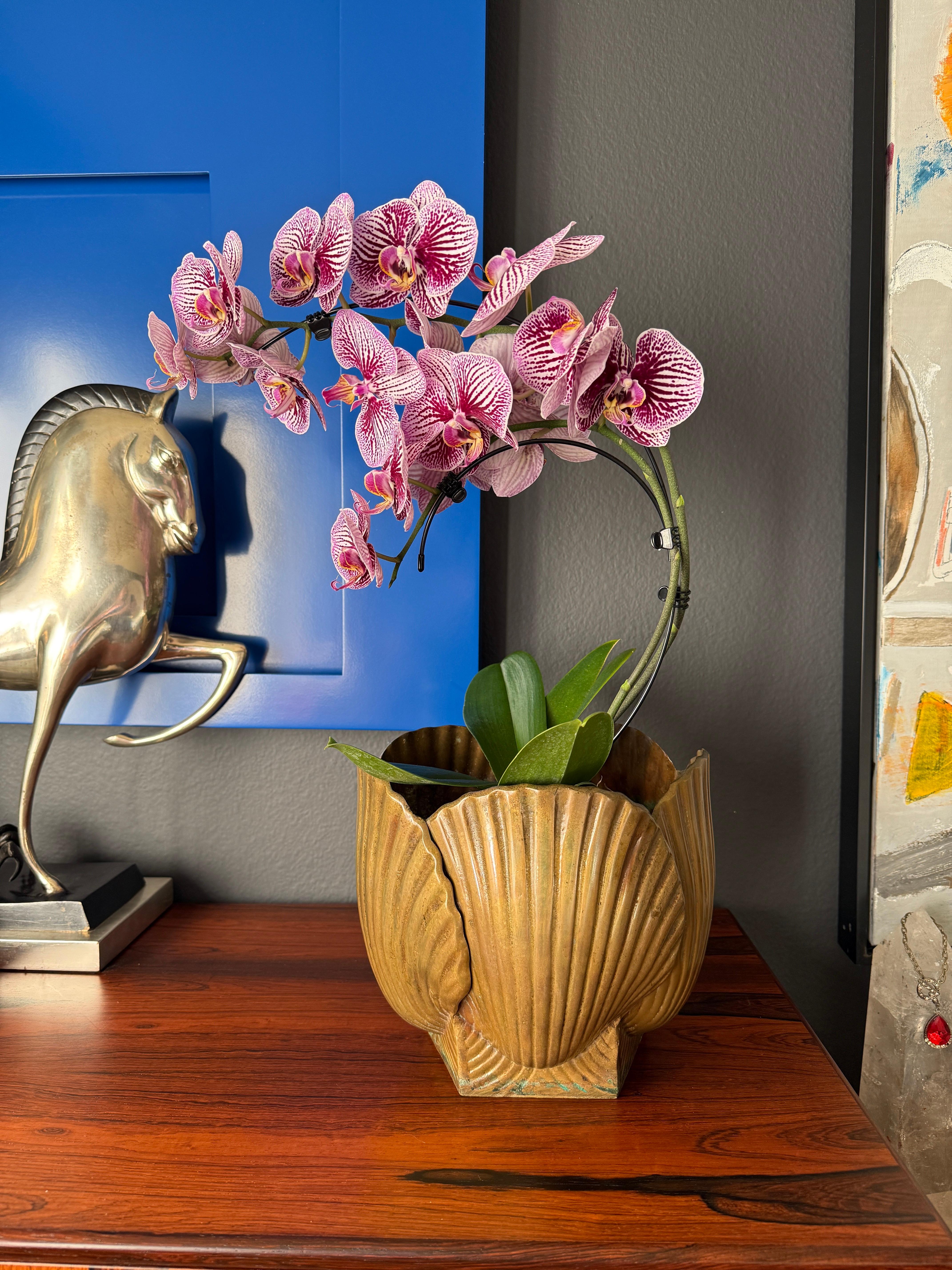 Hollywood Regency Patinated Brass Sea Shell Planter For Sale