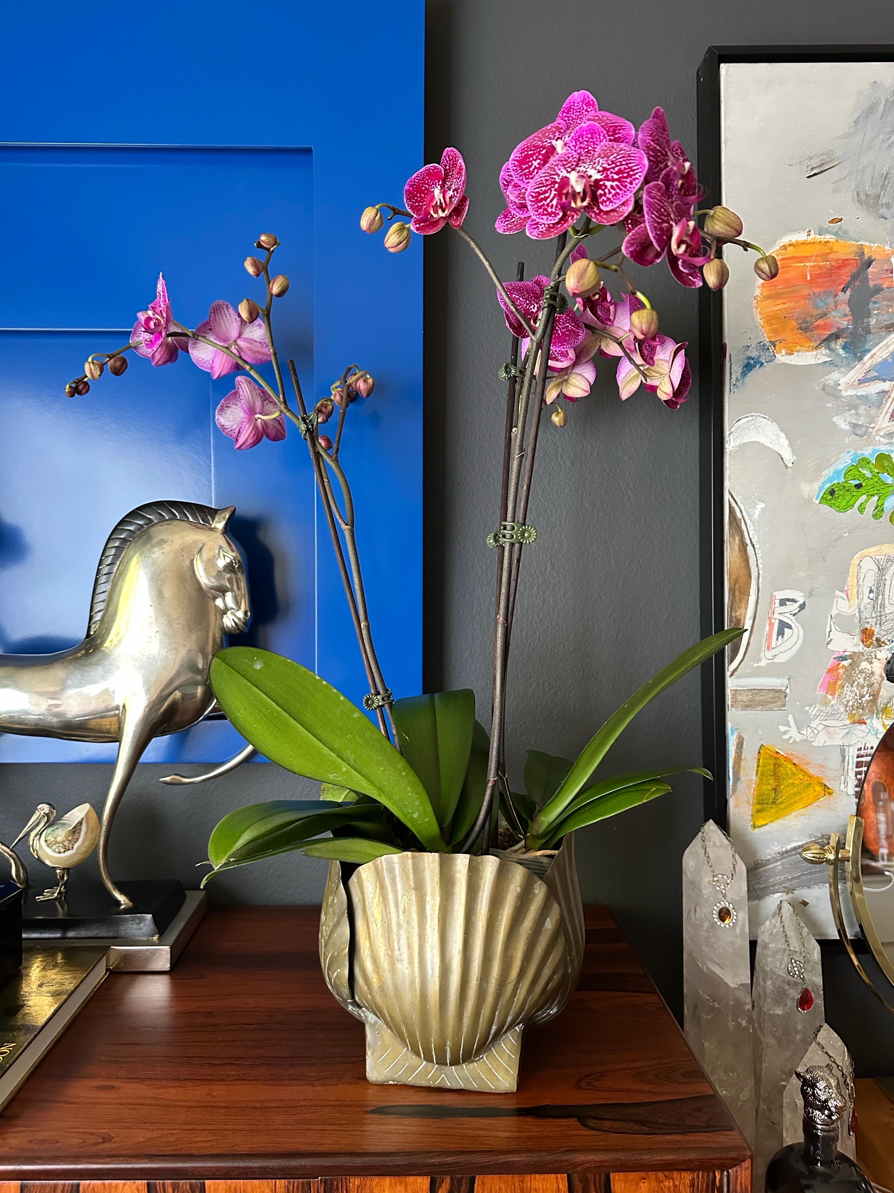 Patinated Brass Sea Shell Planter 1