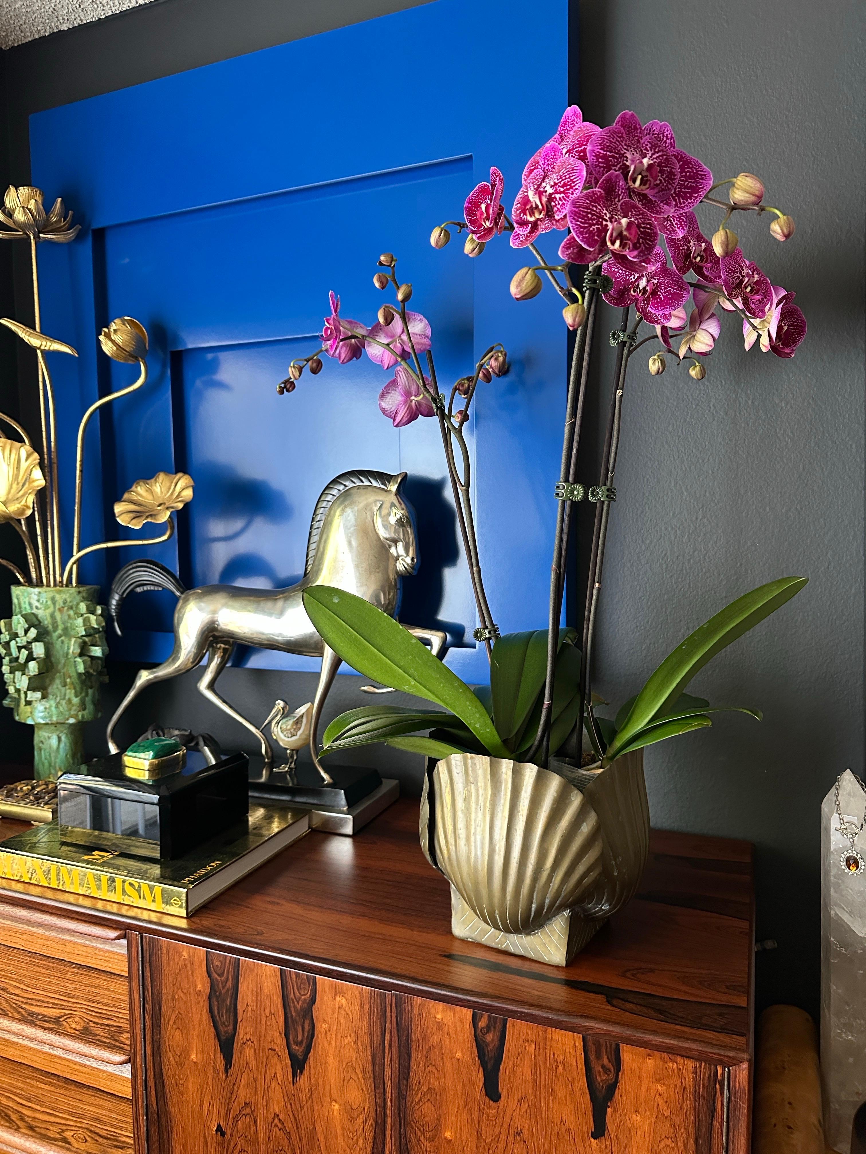 Patinated Brass Sea Shell Planter 2