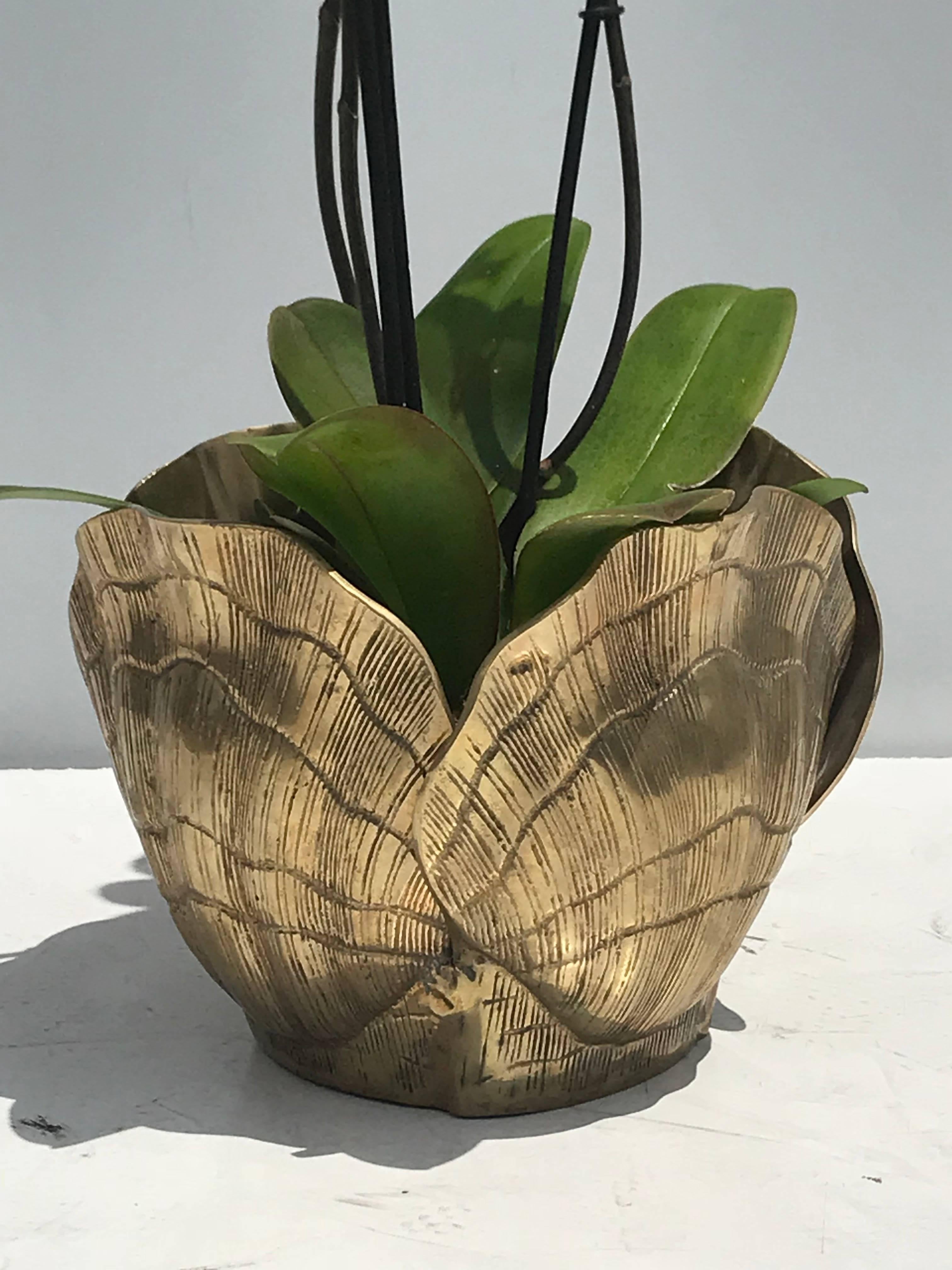 Unknown  Patinated Brass Shell Planter