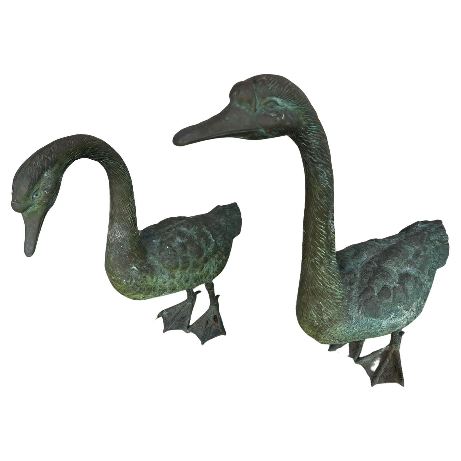 19Thc Original patinated bronze rare standing ducks from a outdoor garden in very fine condition. These amazing undisturbed surface ducks are amazing.Sold as a matching pair only.