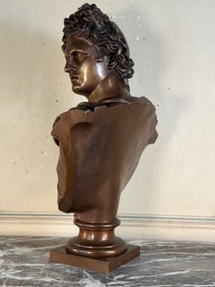 Patinated bronze medal bust, Apollo Belvedere, bronze artist Luppens, 19th centu