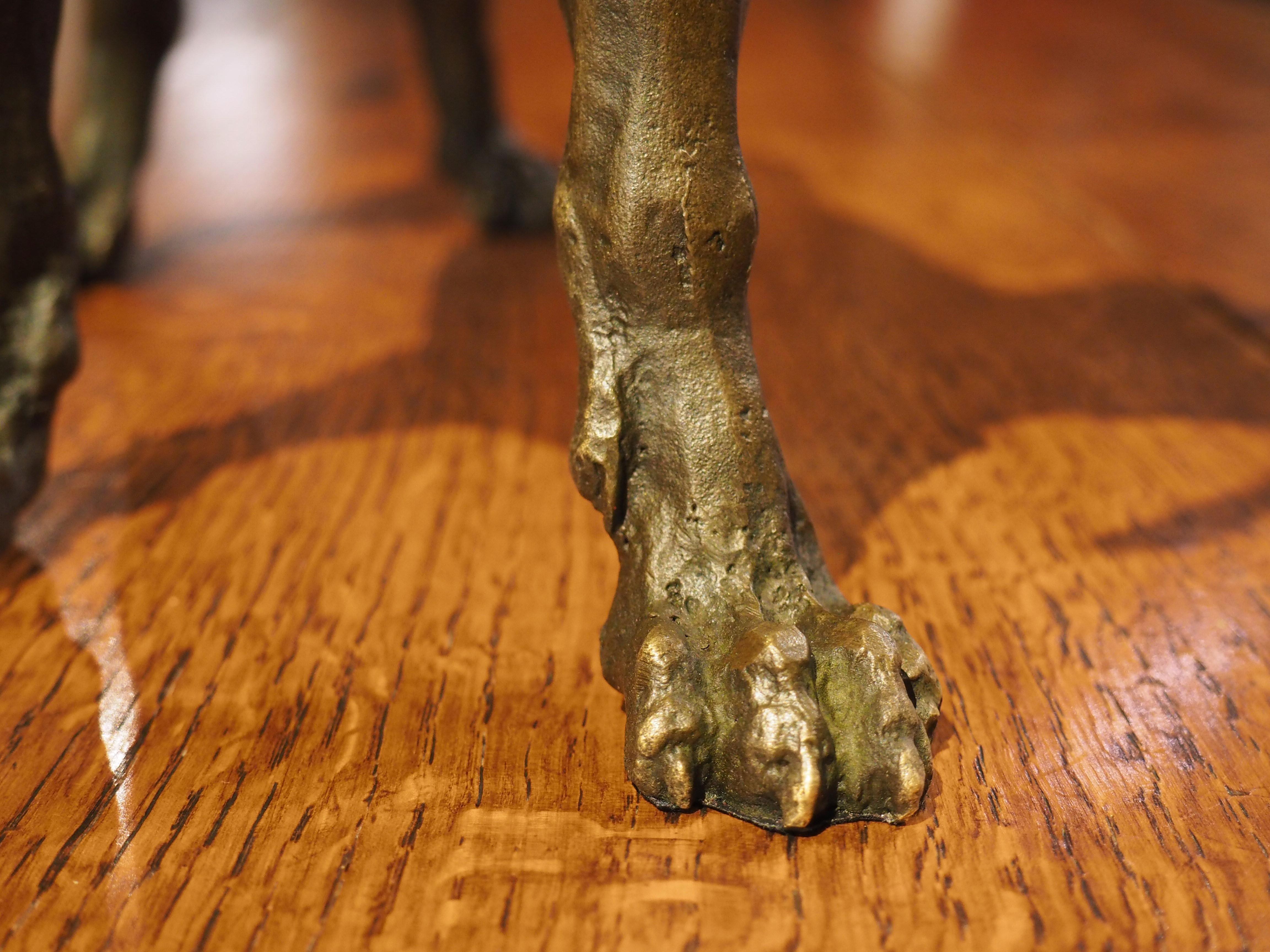 Patinated Cast Bronze Hunting Dog Sculpture, 20th Century 8