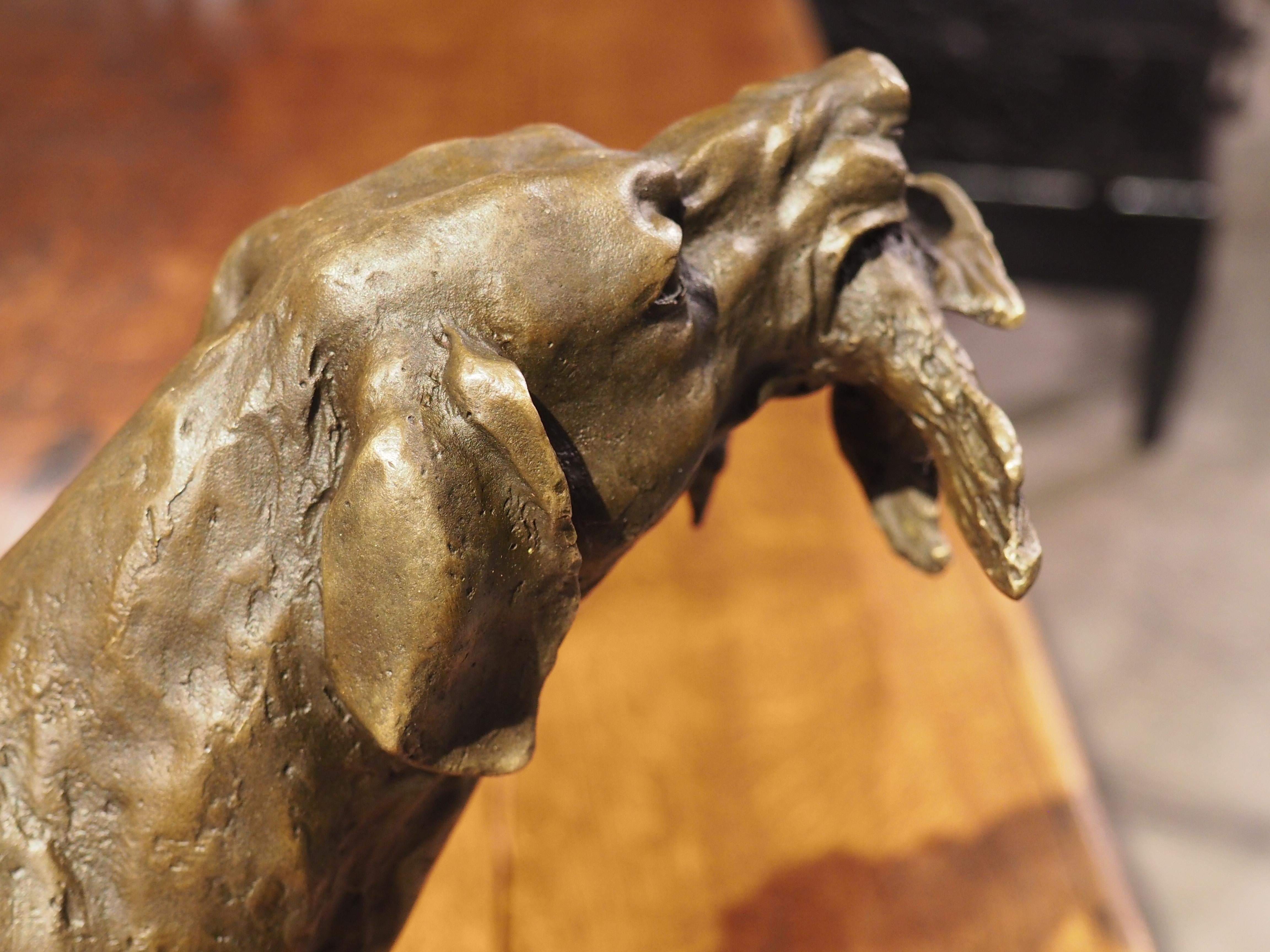 Patinated Cast Bronze Hunting Dog Sculpture, 20th Century 12
