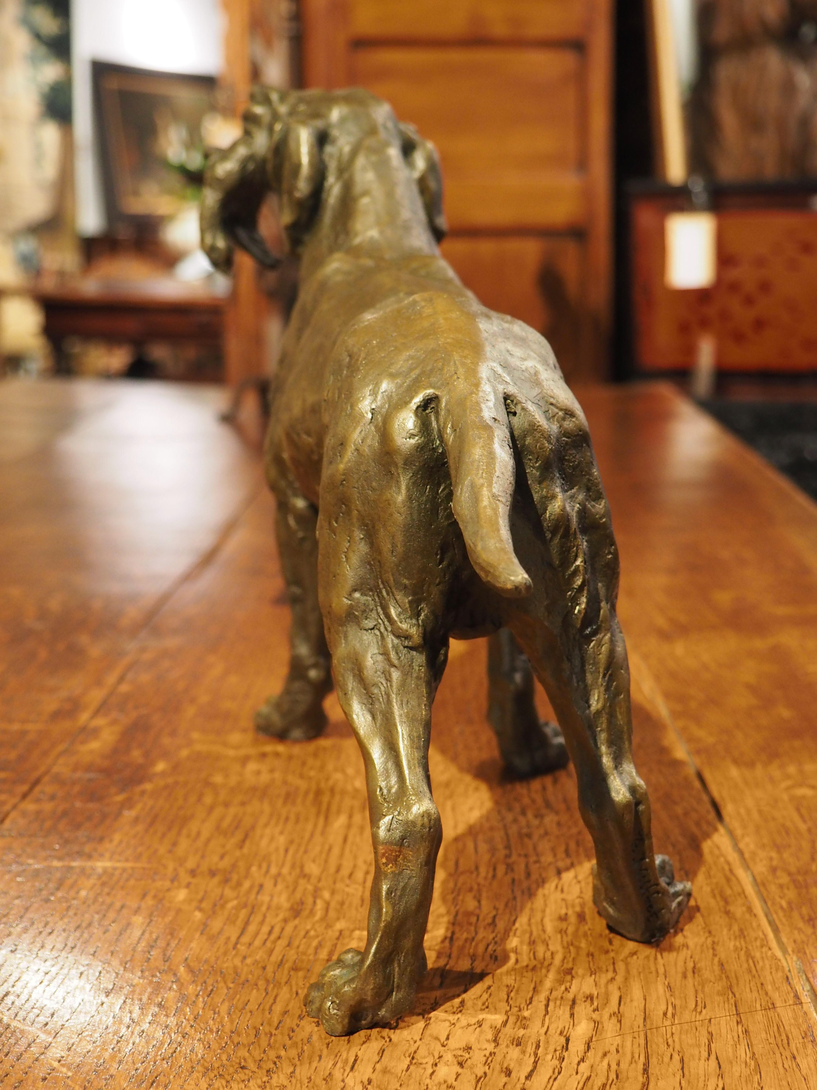 Patinated Cast Bronze Hunting Dog Sculpture, 20th Century 13