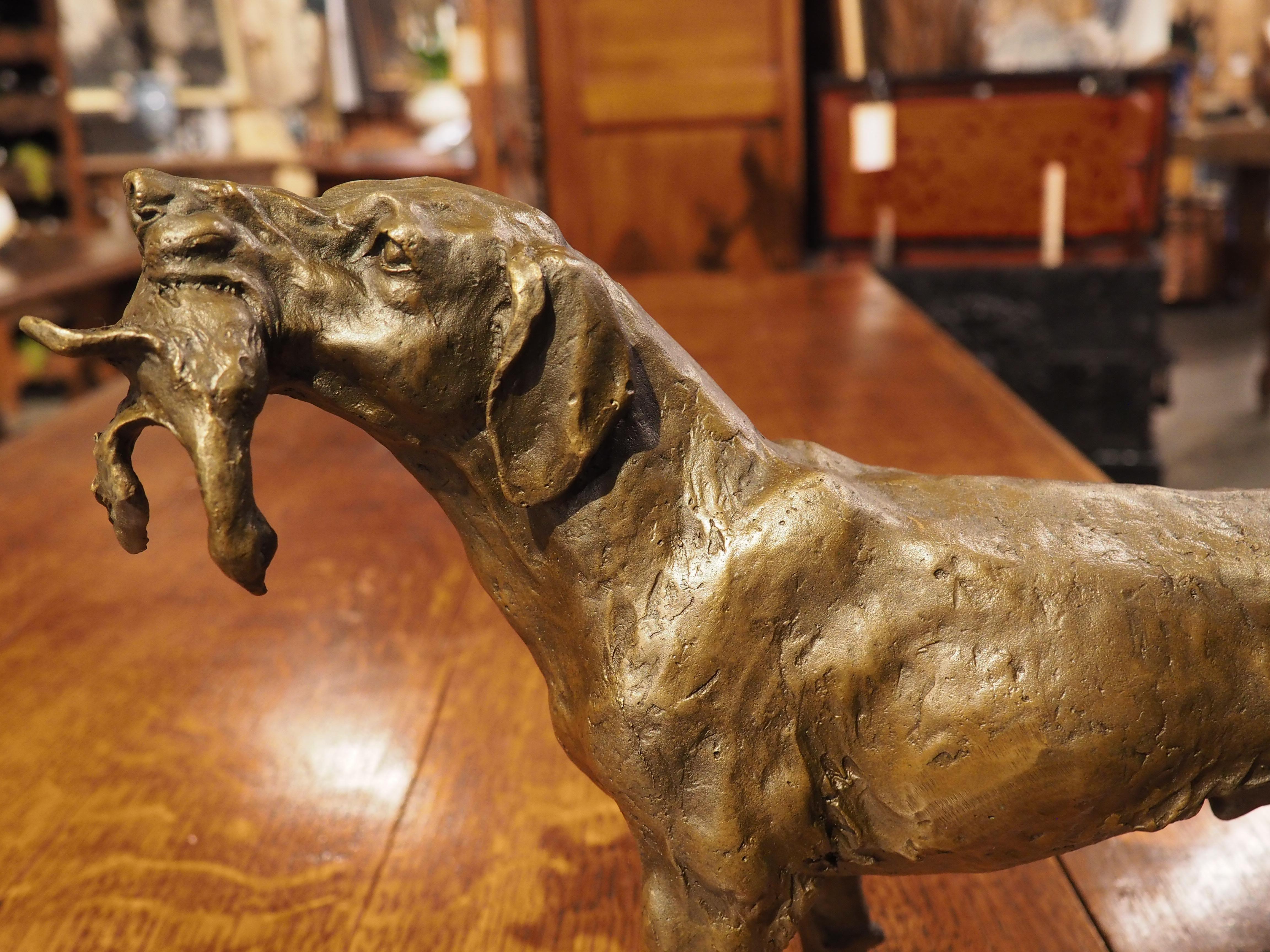 Patinated Cast Bronze Hunting Dog Sculpture, 20th Century In Good Condition In Dallas, TX