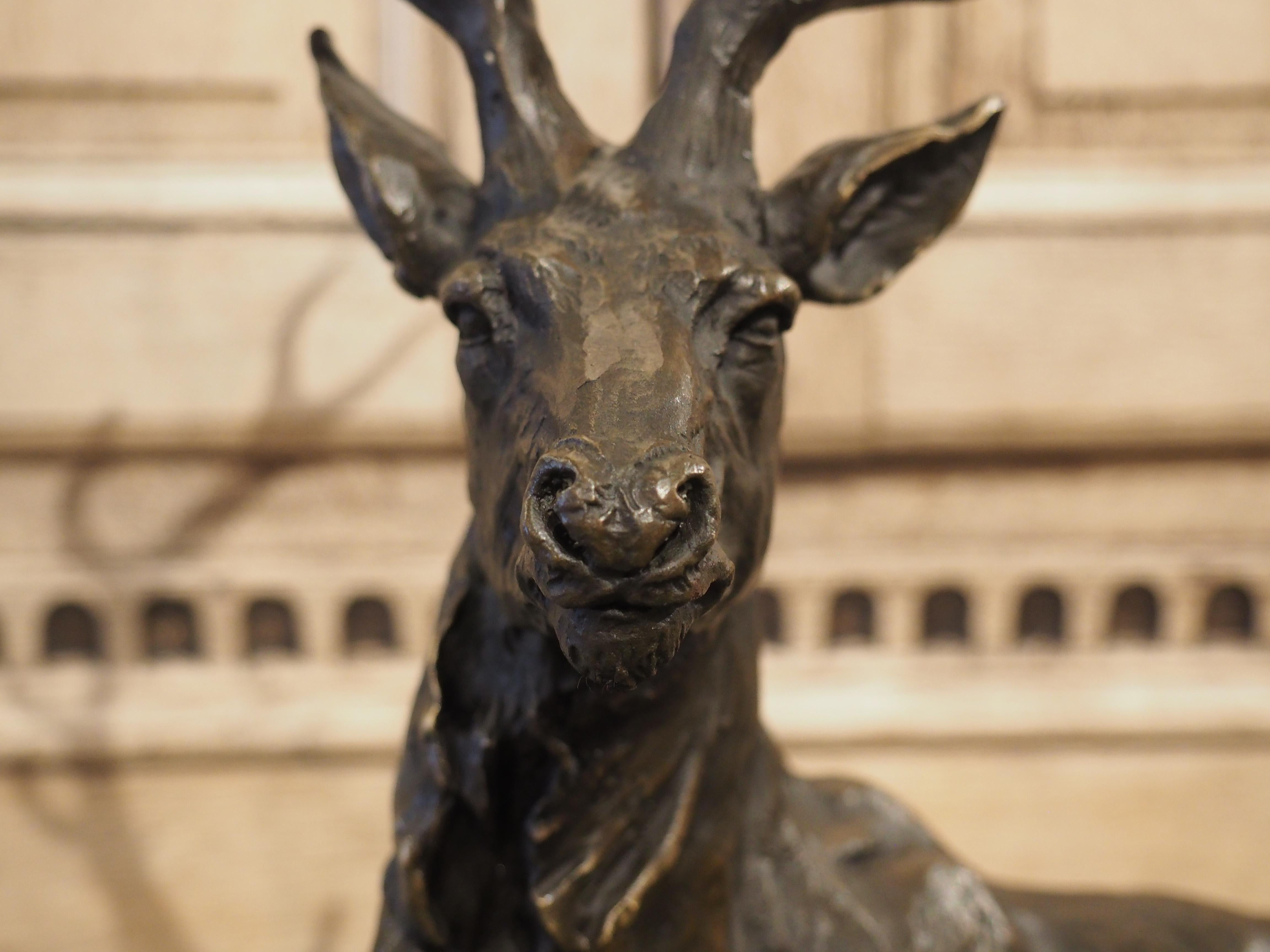 Patinated Cast Bronze Stag Sculpture on Marble Base, 20th Century 13