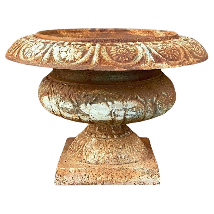 Patinated Cast Iron Urn Planter Coastal Rustic Farmhouse