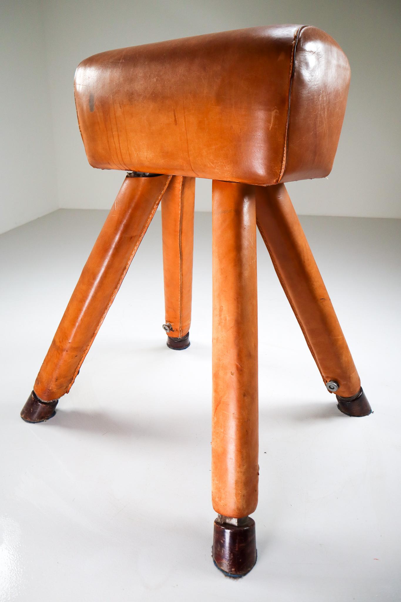 Patinated cognac leather covered beechwood gym horse, circa 1950. Salvaged from an old gym, this handsome piece of equipment is weighted for stability and has horse shaped hoof feet. Lots of patina, imperfections and overall charm and amazing good