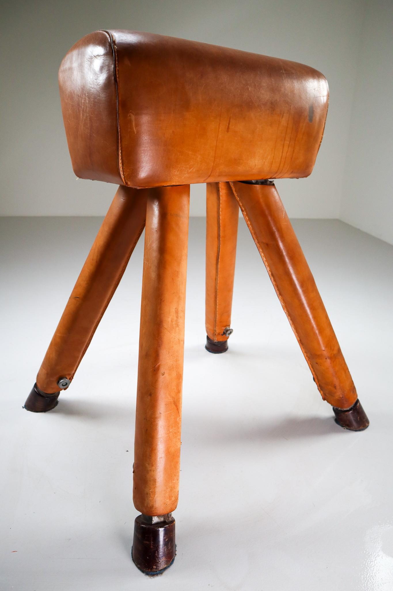 Czech Patinated Cognac Leather Covered Beechwood Gym Horse, 1950s