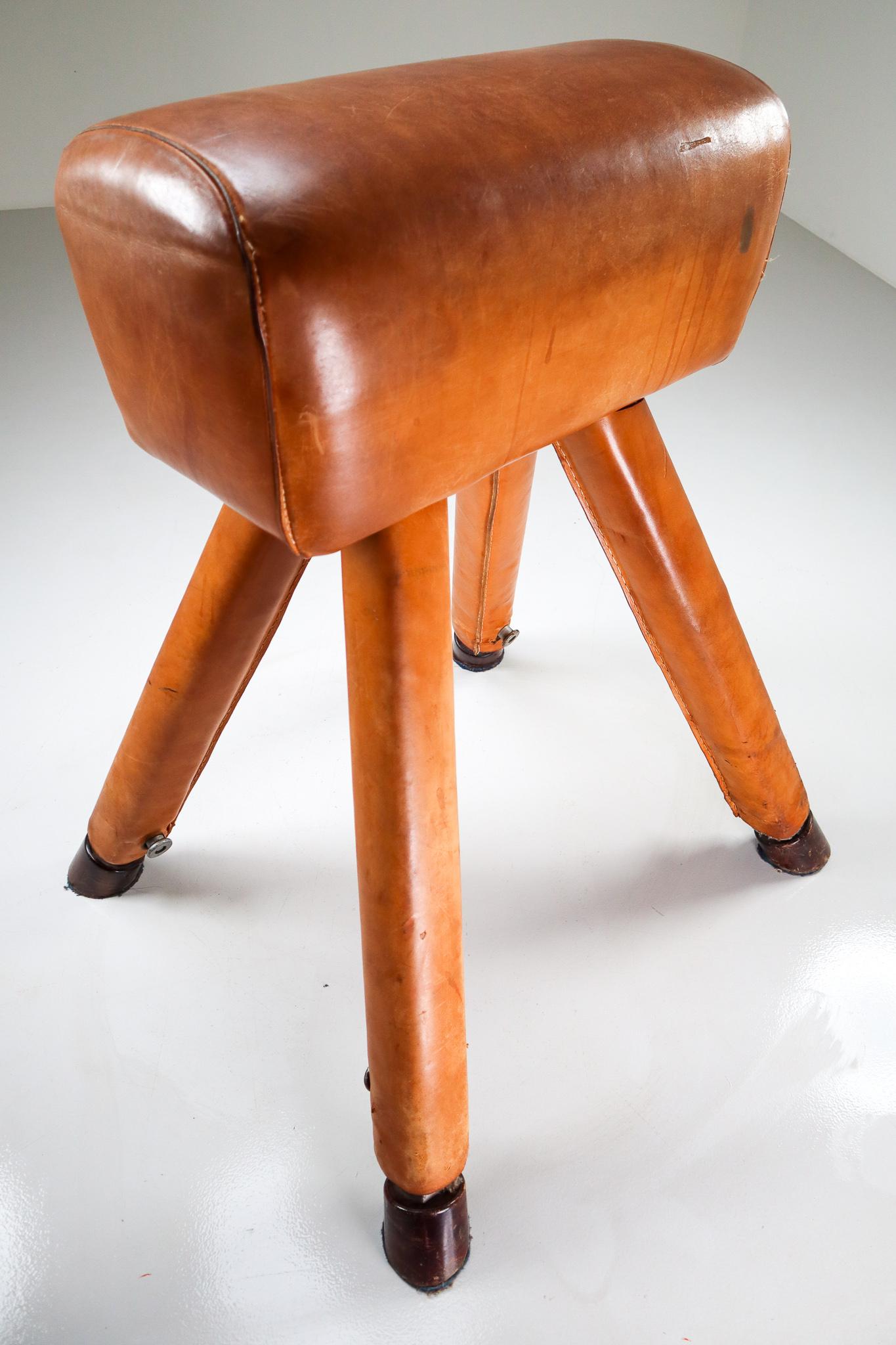 Patinated Cognac Leather Covered Beechwood Gym Horse, 1950s In Good Condition In Almelo, NL