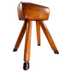 Patinated Cognac Leather Covered Beechwood Gym Horse, 1950s