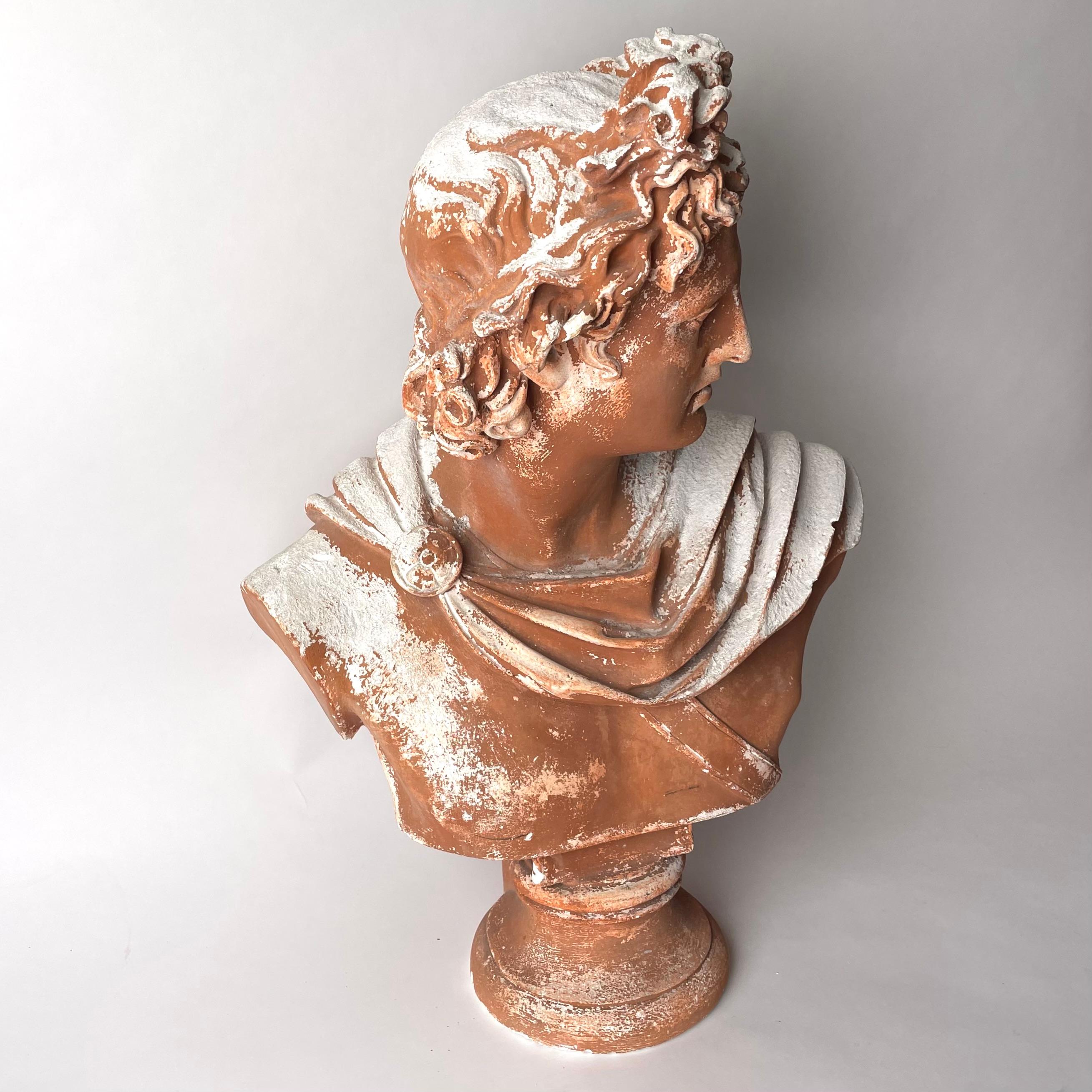 European Patinated plaster sculpture after Apollo di Belvedere, late 19th Century For Sale