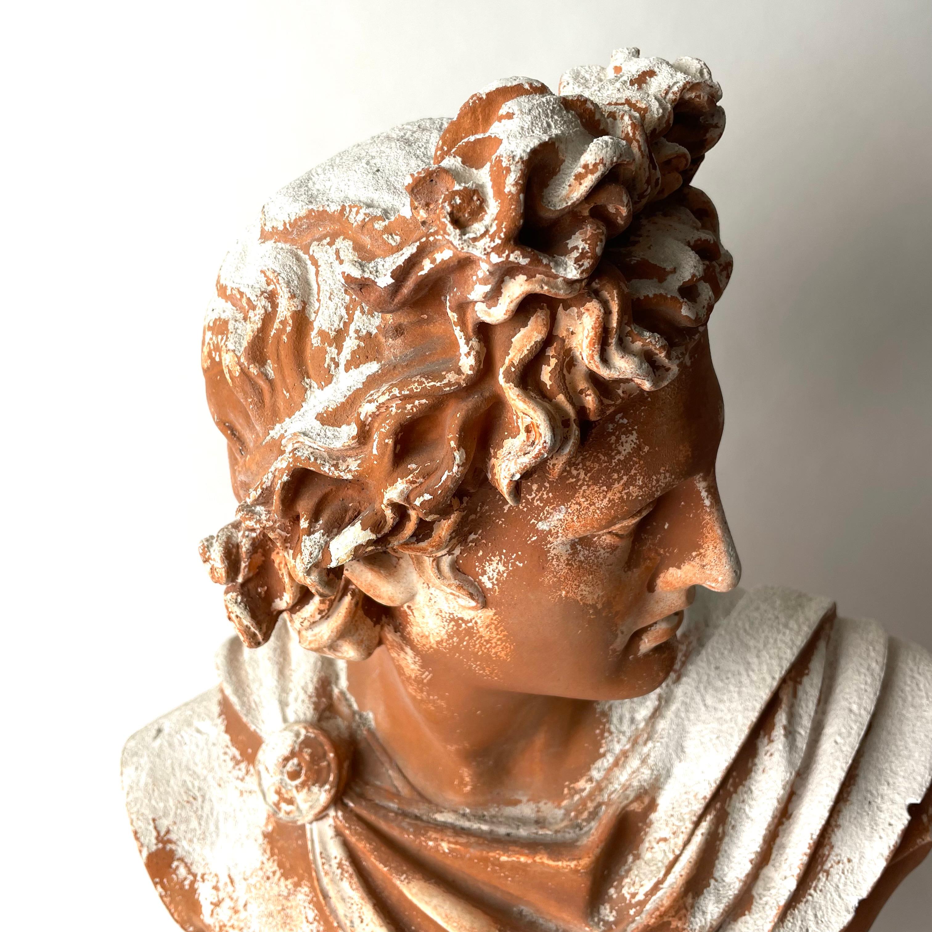 Patinated plaster sculpture after Apollo di Belvedere, late 19th Century For Sale 3