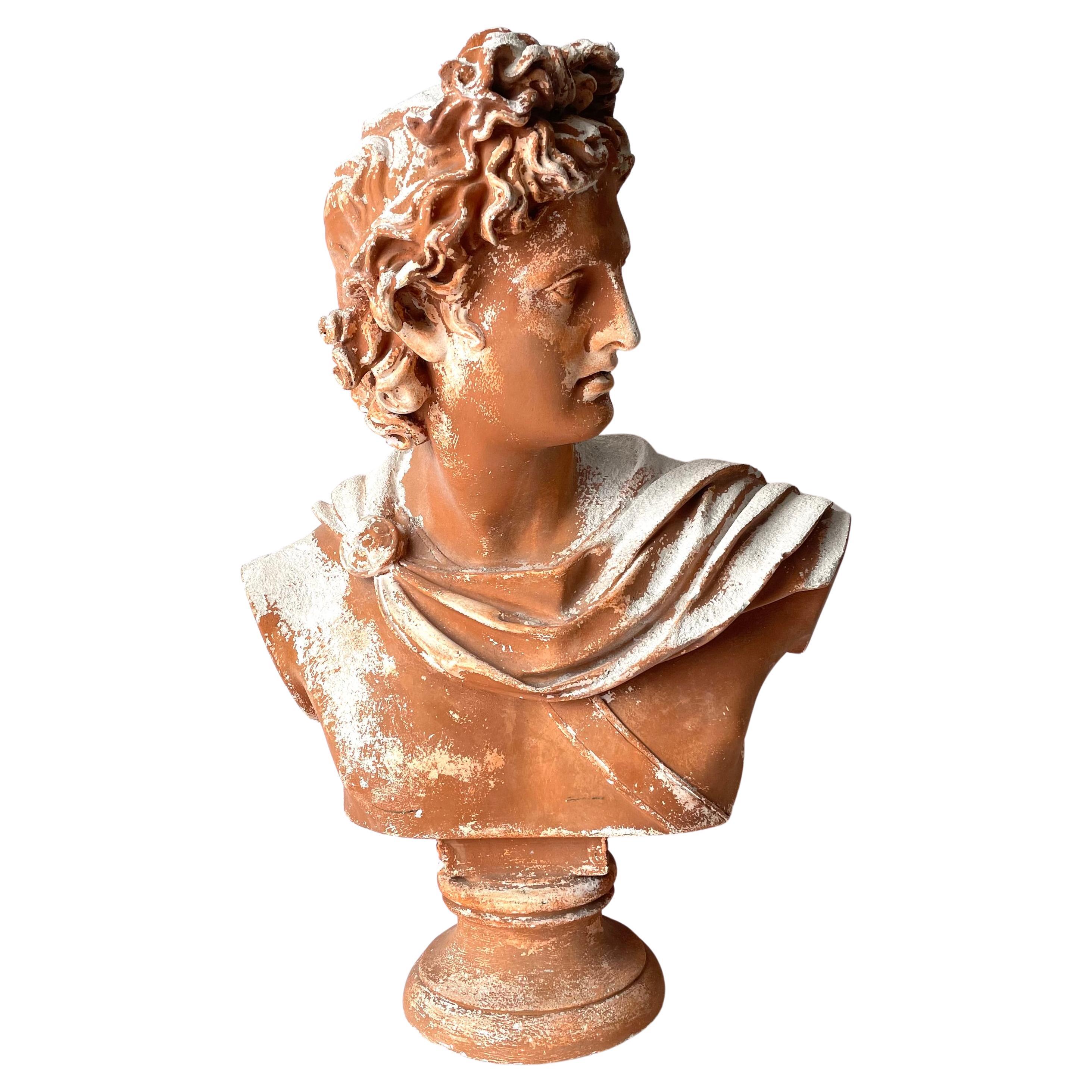 Patinated plaster sculpture after Apollo di Belvedere, late 19th Century For Sale
