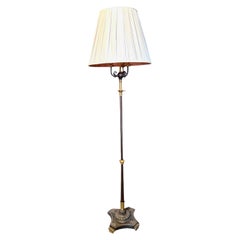Patinated Steel and Gilt bronze Floor Lamp