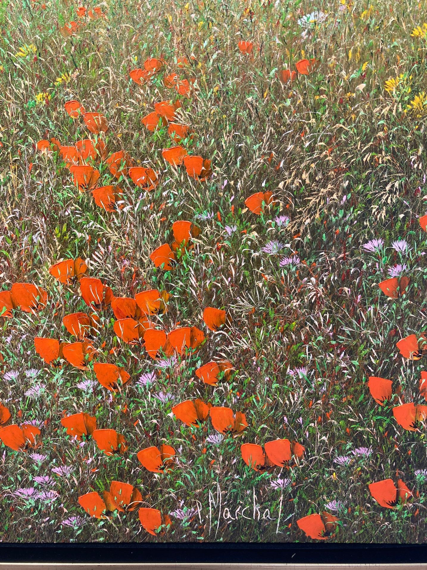 Abondanza di coquelicots - Painting Impressionismo di Patrice Marchal