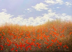 Produzione di coquelicots