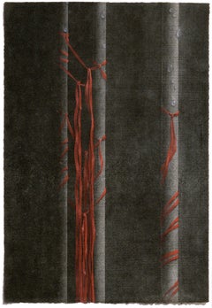 Nastri e pali - Serigrafia aumentata