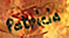 Patricia Abramovich - "Campo arancione" - paesaggio astratto e neoimpressionista