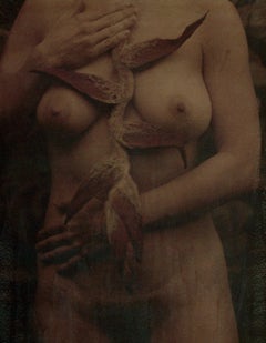 Nude Photography