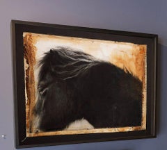 'Lord Byron' Indigenous Dartmoor Pony