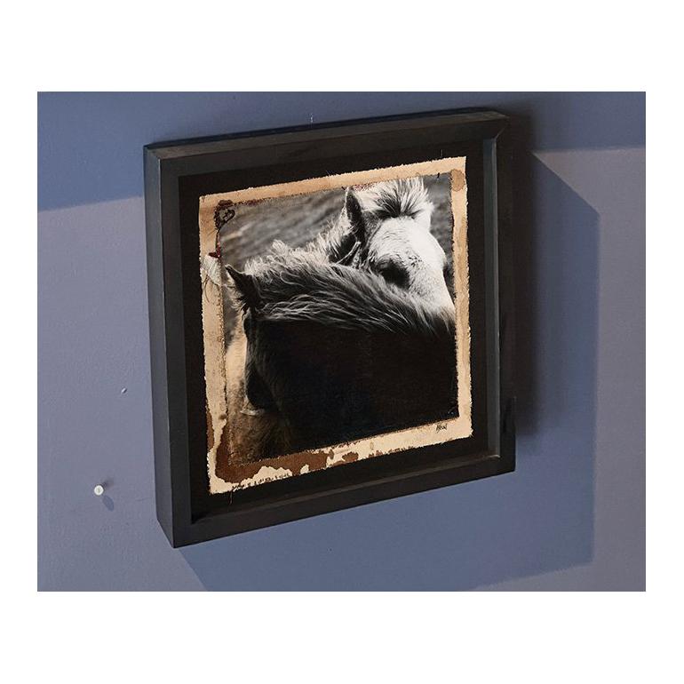 Widdicombe Bond - Modern Photograph by Patricia Heal