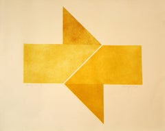 Patricia Jean Burg Synergy VII AP Modern Aquatint in Colors on Wove Paper