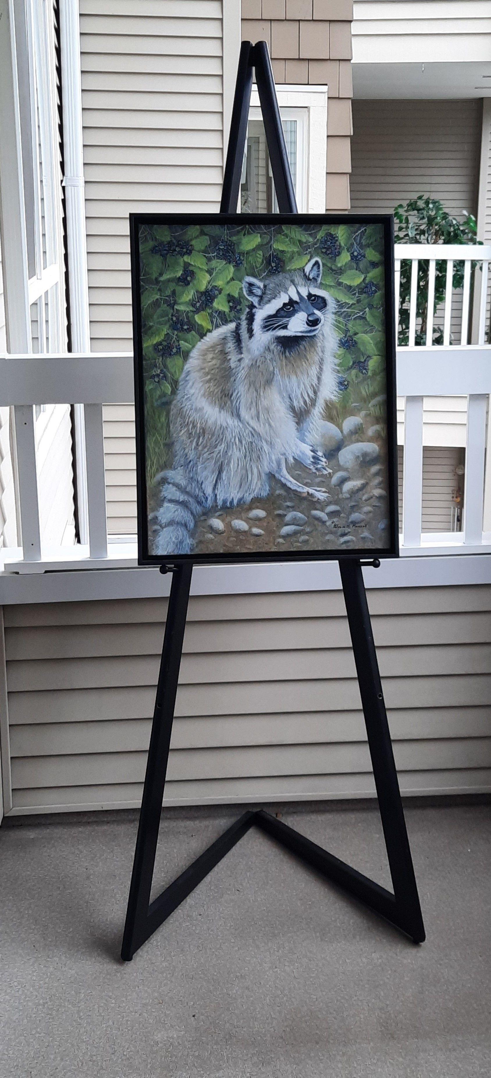 raccoon paintings