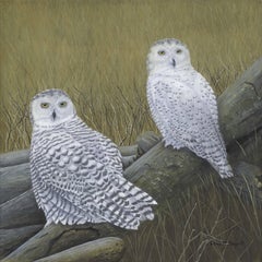 Boundary Bay (Snowy Owls), Painting, Acrylic on Canvas