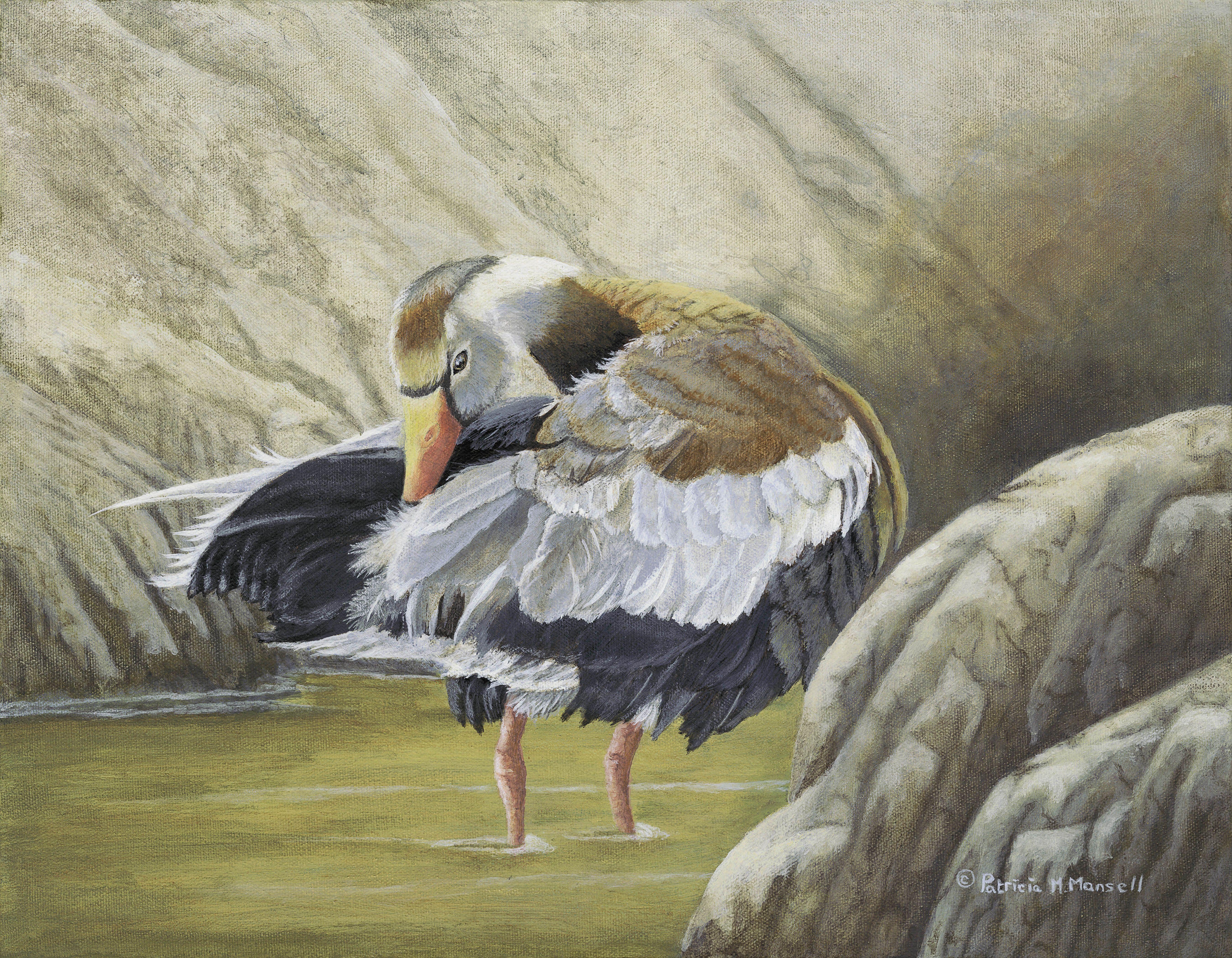 Patricia Mansell Animal Painting - Feather by Feather (Whistling Duck), Painting, Acrylic on Canvas