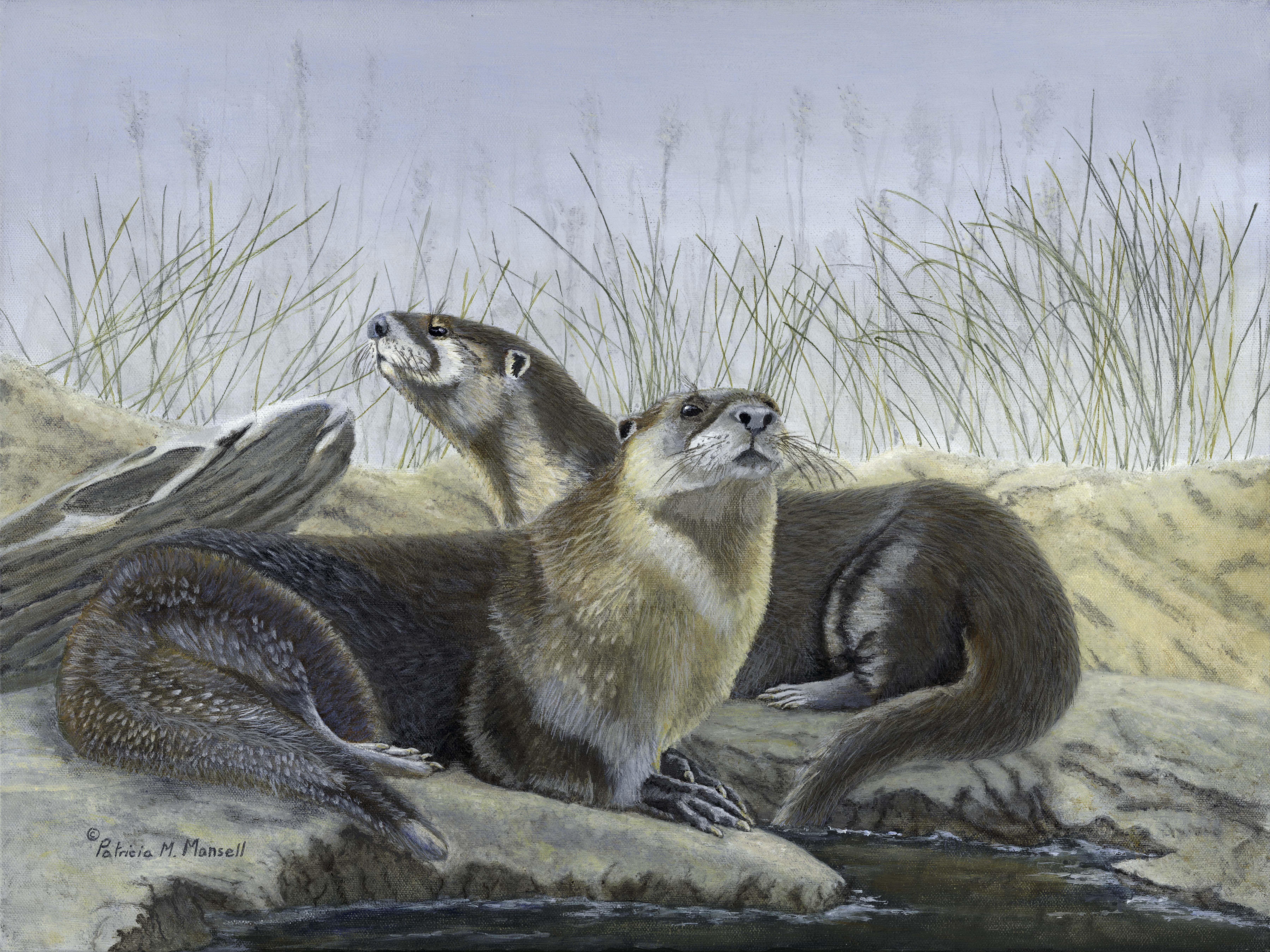 Patricia Mansell Animal Painting - River's Edge (River Otters), Painting, Acrylic on Canvas