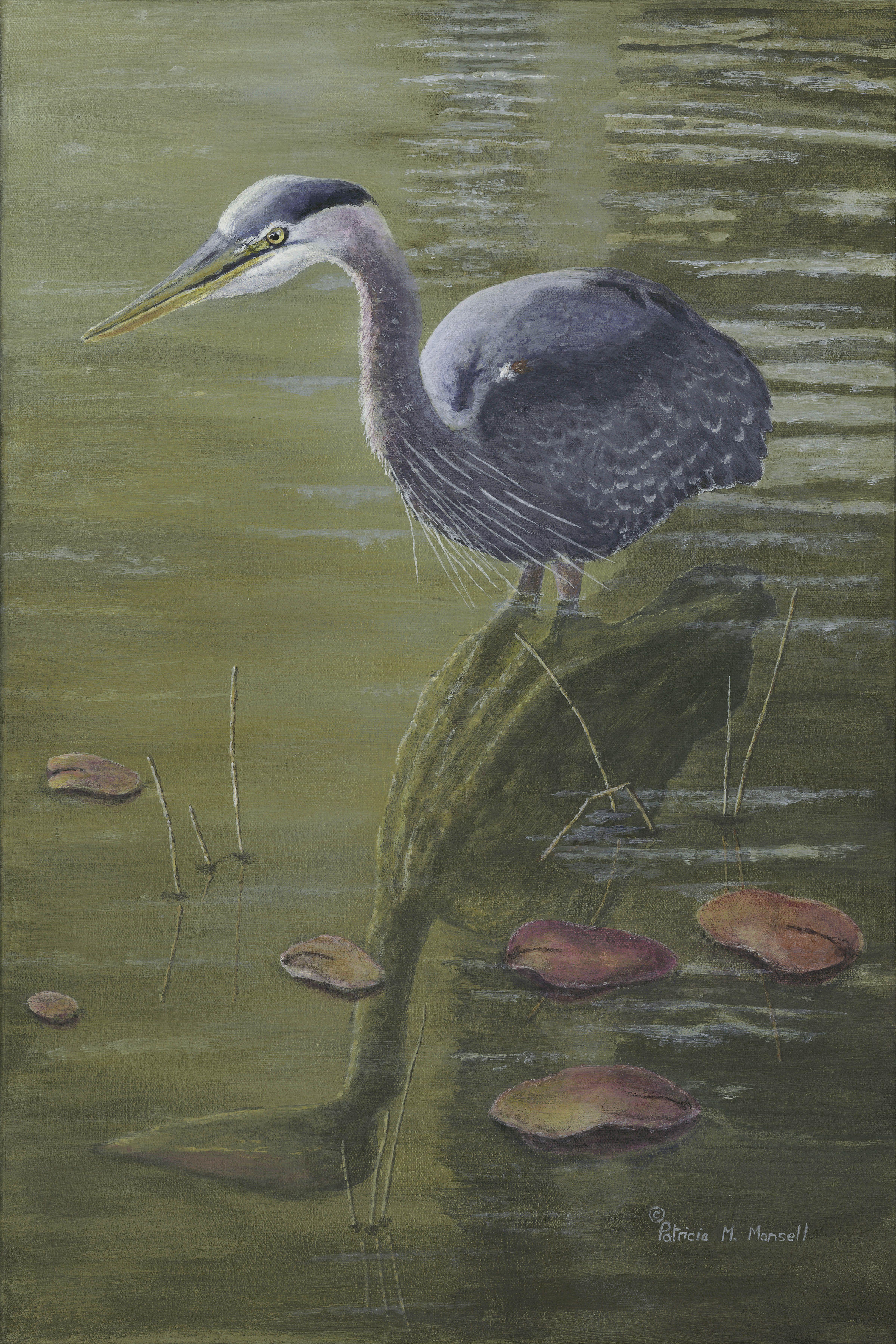 Patricia Mansell Animal Painting - Stillness (Great Blue Heron), Painting, Acrylic on Canvas