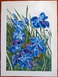 Patricia Tobacco Forrester a la Poupee print – December Irises