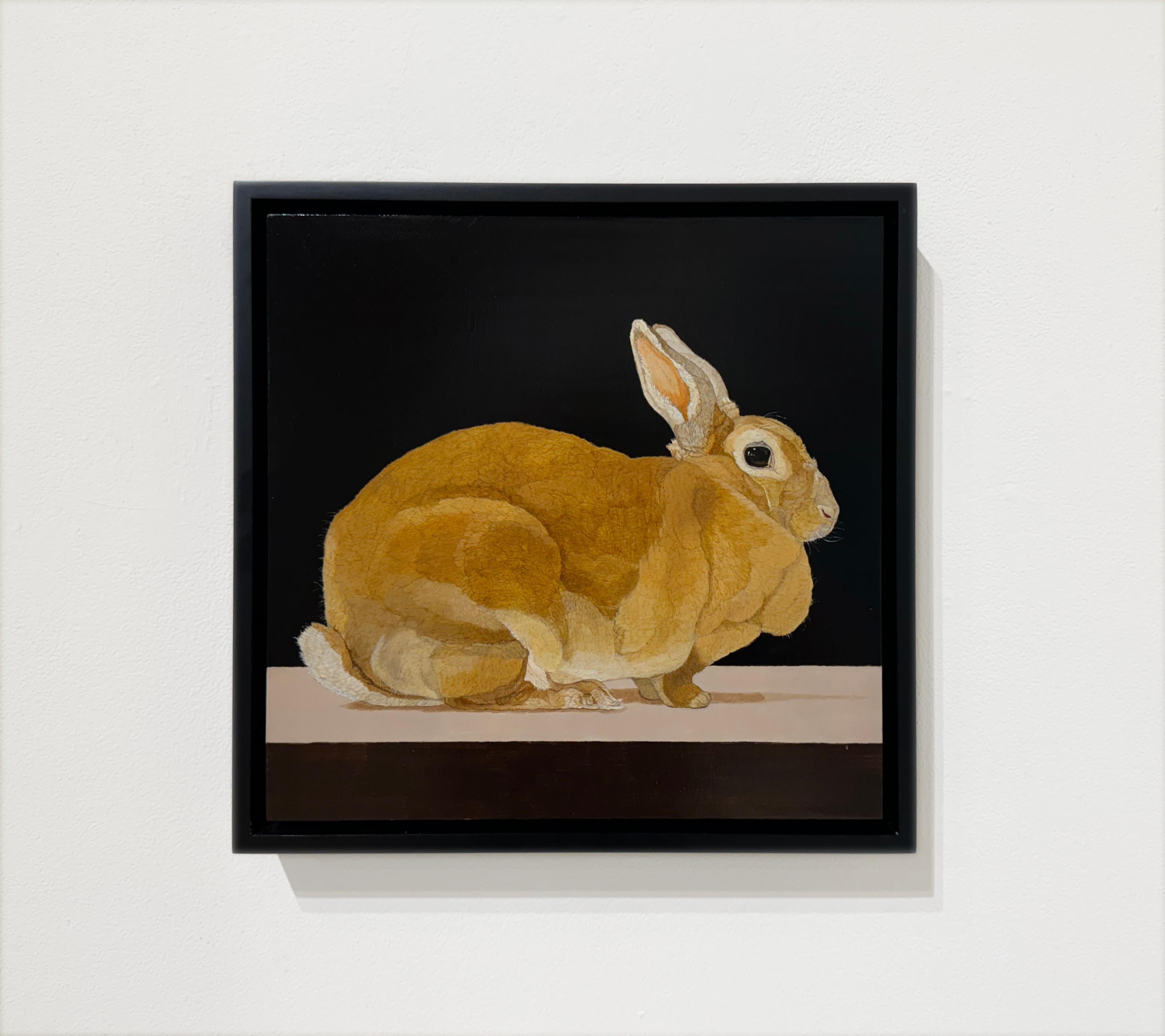 A REX RABBIT - Hyper Realism / Domestic Animal Painting / Fur / Bunny im Angebot 1