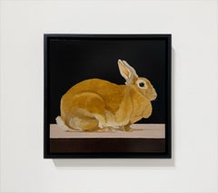 A REX RABBIT - Hyper Realism / Domestic Animal Painting / Fur / Bunny