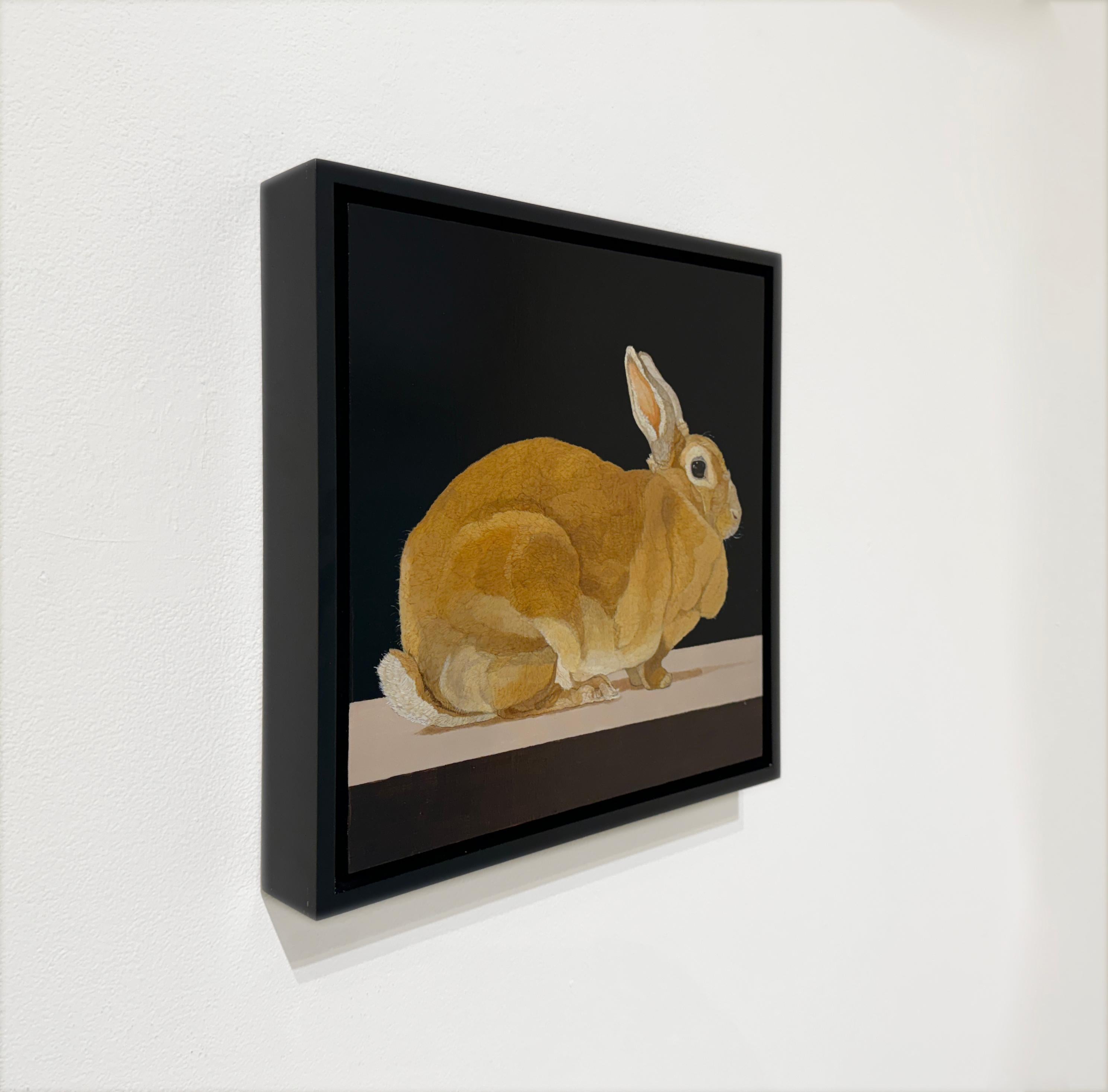 A REX RABBIT - Hyper Realism / Domestic Animal Painting / Fur / Bunny im Angebot 2