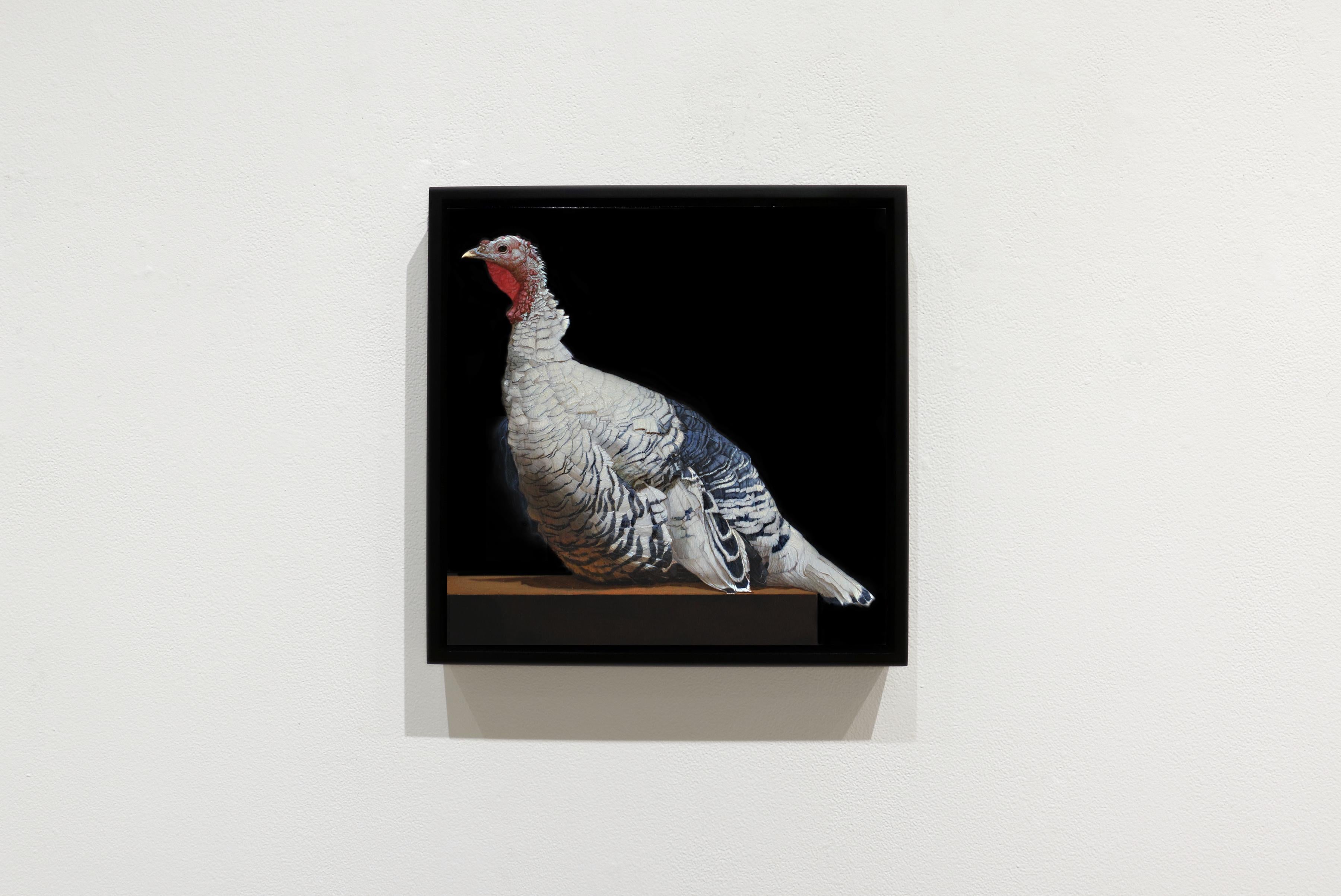A ROYAL PALM TURKEY, hyper-realism, animal portrait, bird, Dutch, feathers - Painting by Patricia Traub
