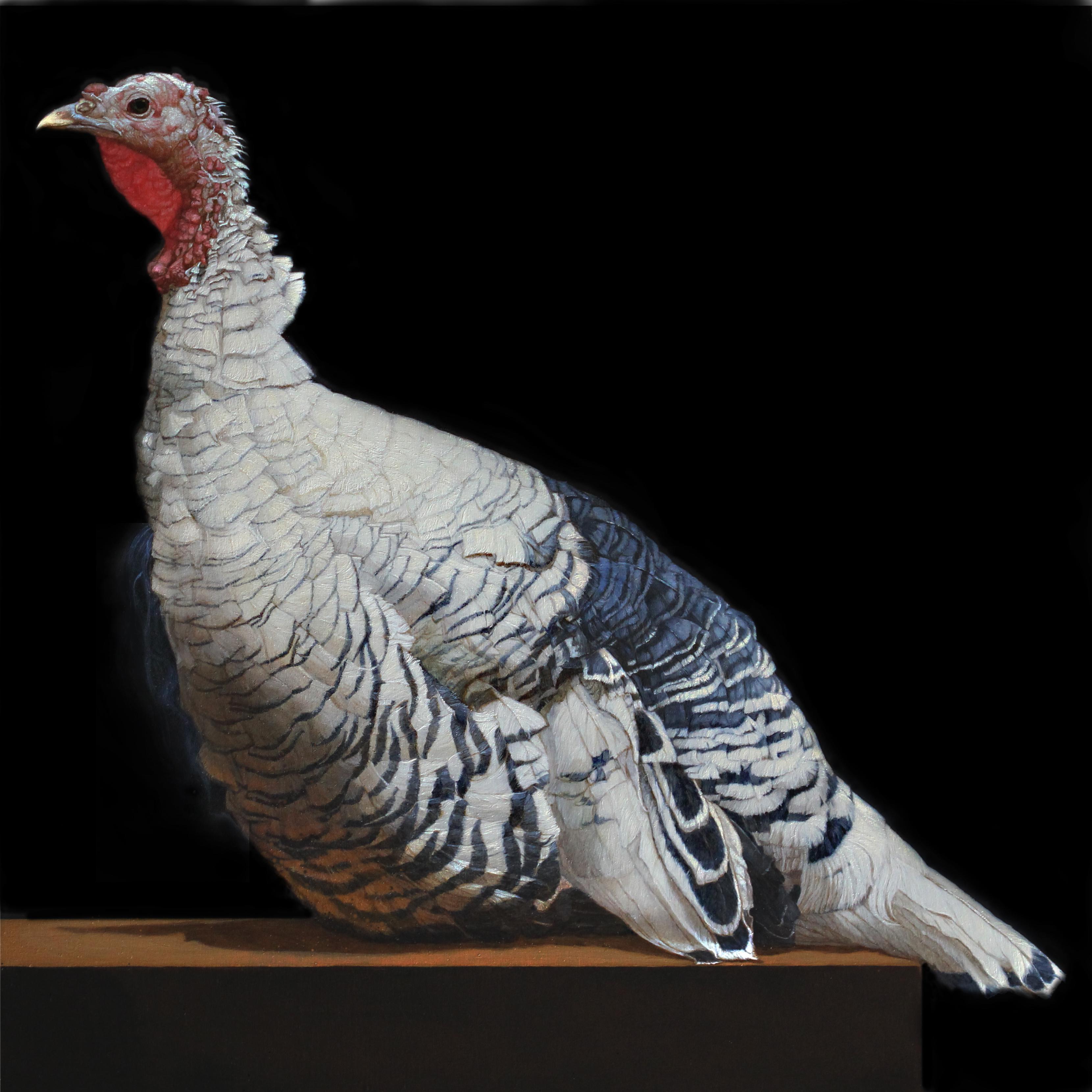 Patricia Traub Animal Painting - A ROYAL PALM TURKEY, hyper-realism, animal portrait, bird, Dutch, feathers
