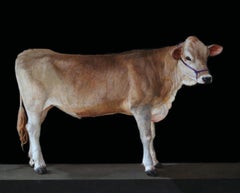 BROWN SWISS COW WITH VIOLET HALTER, still-life, photo-realism, animal painting
