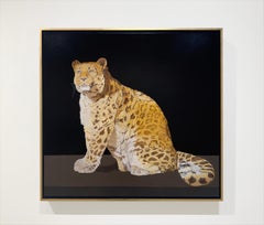 CAPTIVE FEMALE AMUR LEOPARD - Realism / Endangered Animal / Conservation