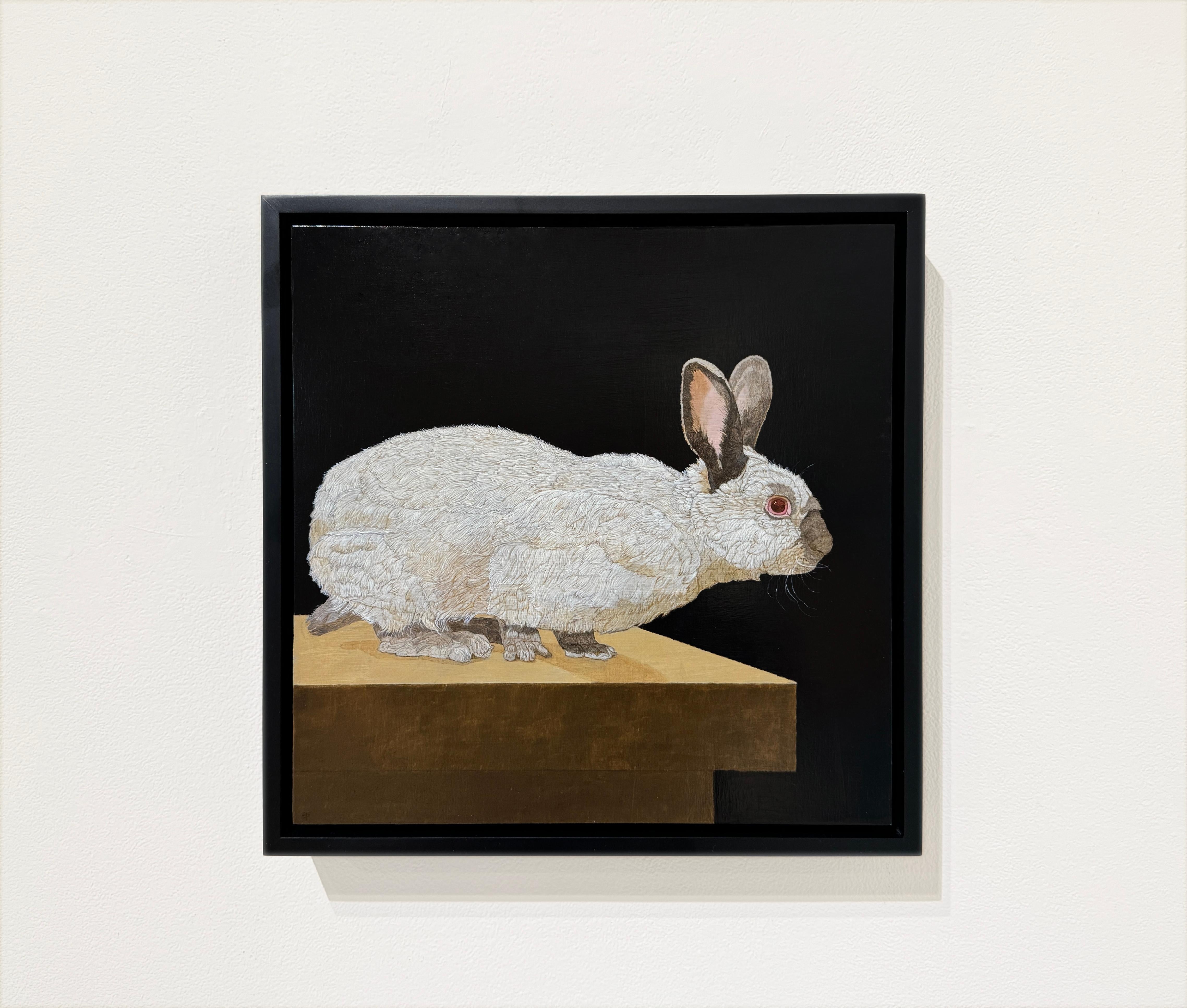 HIMALAYAN BUNNY - Hyper Realism / Domestic Animal Painting / Fur / Conejo en venta 1