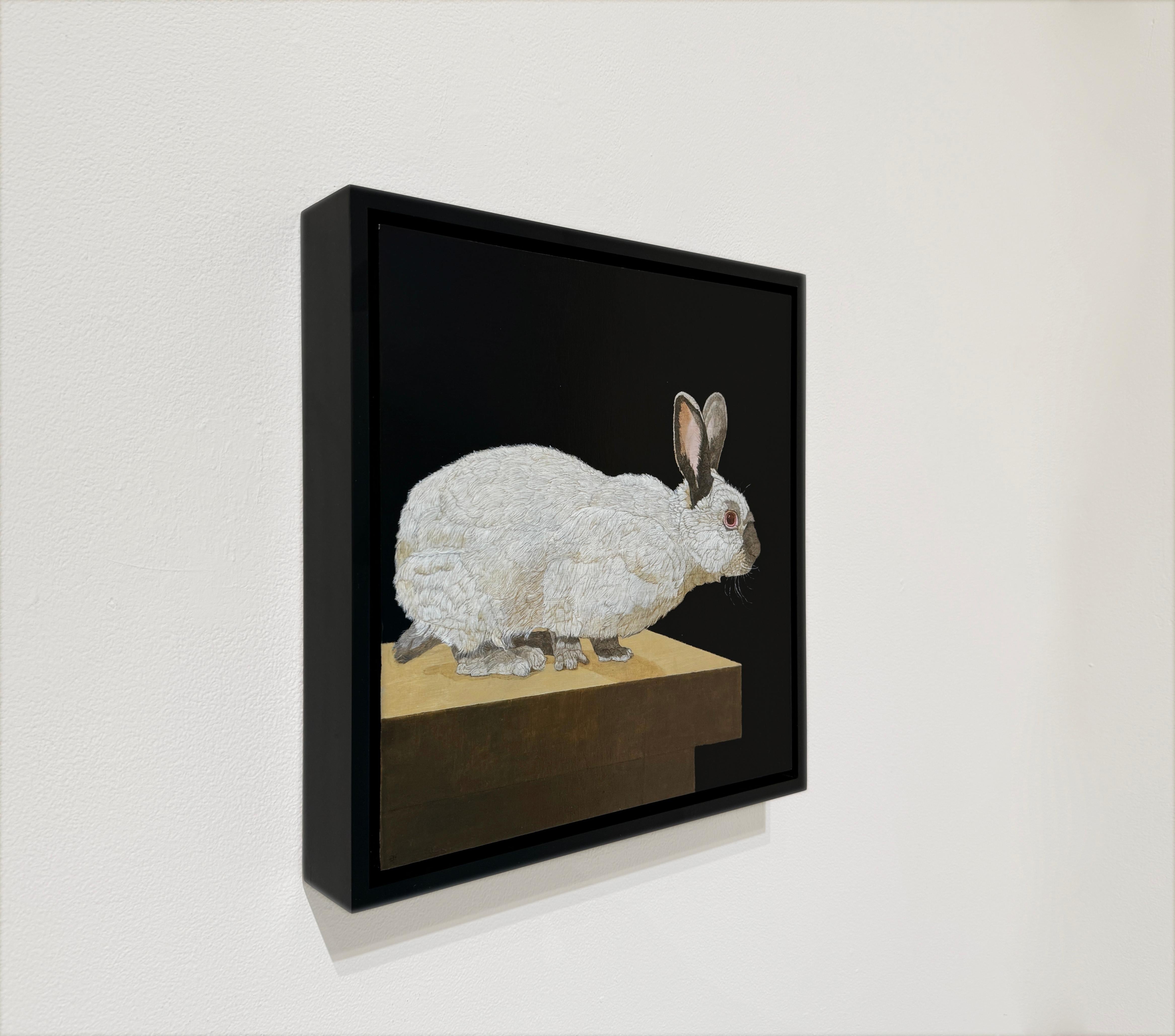 HIMALAYAN BUNNY - Hyper Realism / Domestic Animal Painting / Fur / Conejo en venta 2