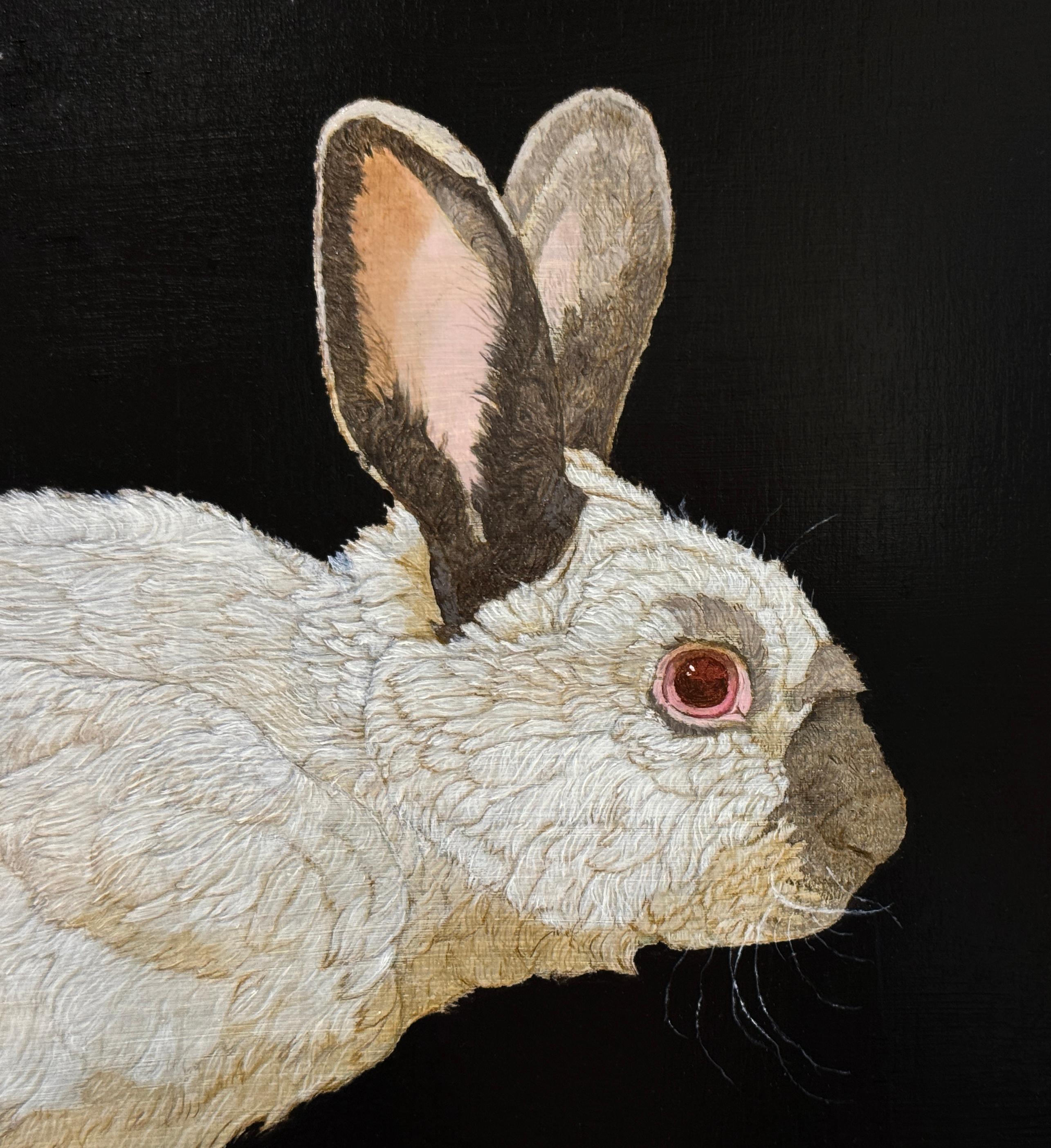 HIMALAYAN BUNNY - Hyper Realism / Domestic Animal Painting / Fur / Conejo en venta 4