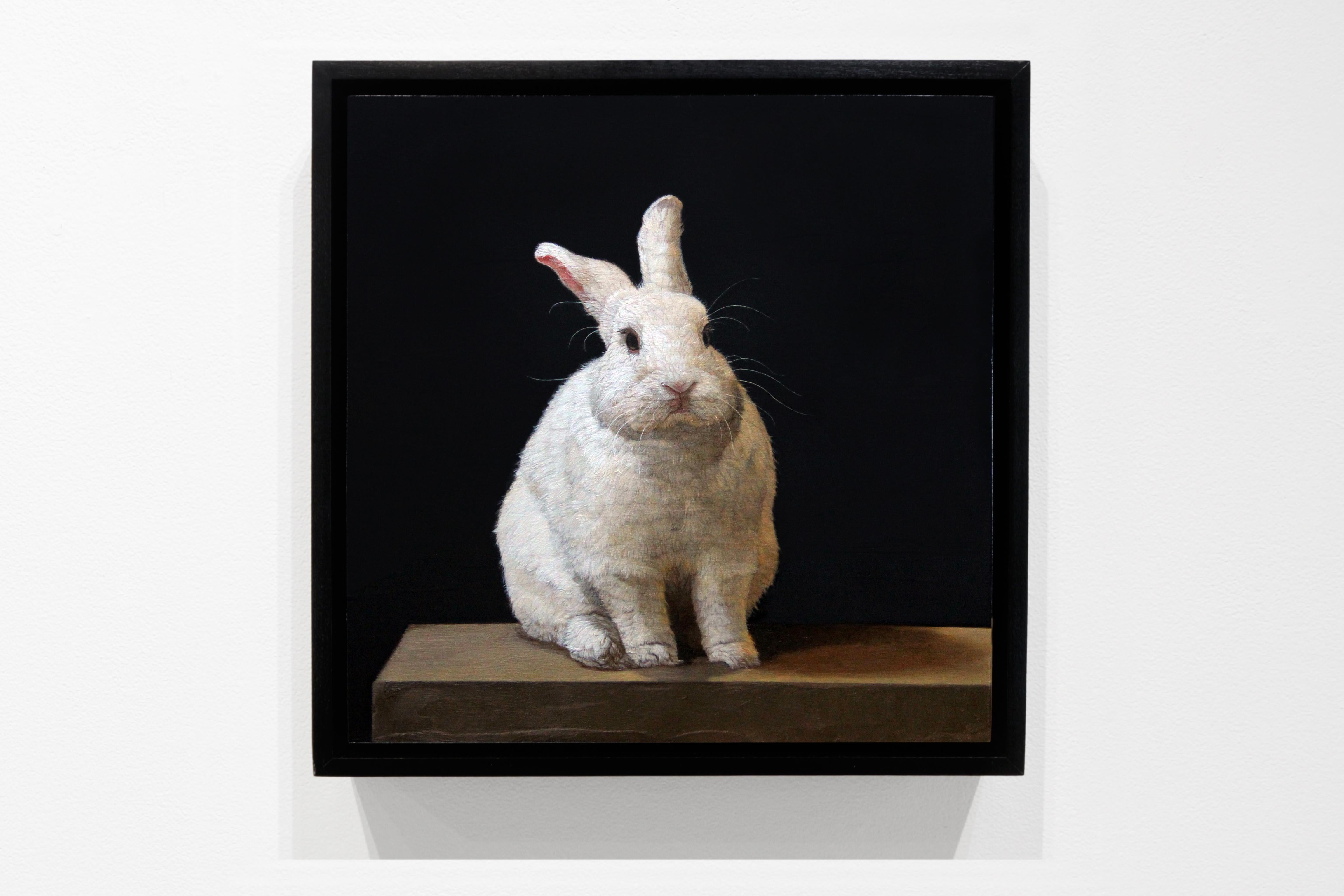 Hybrid Rabbit, Contemporary Realist Painting, Figurative, Animals, Oil  - Black Animal Painting by Patricia Traub