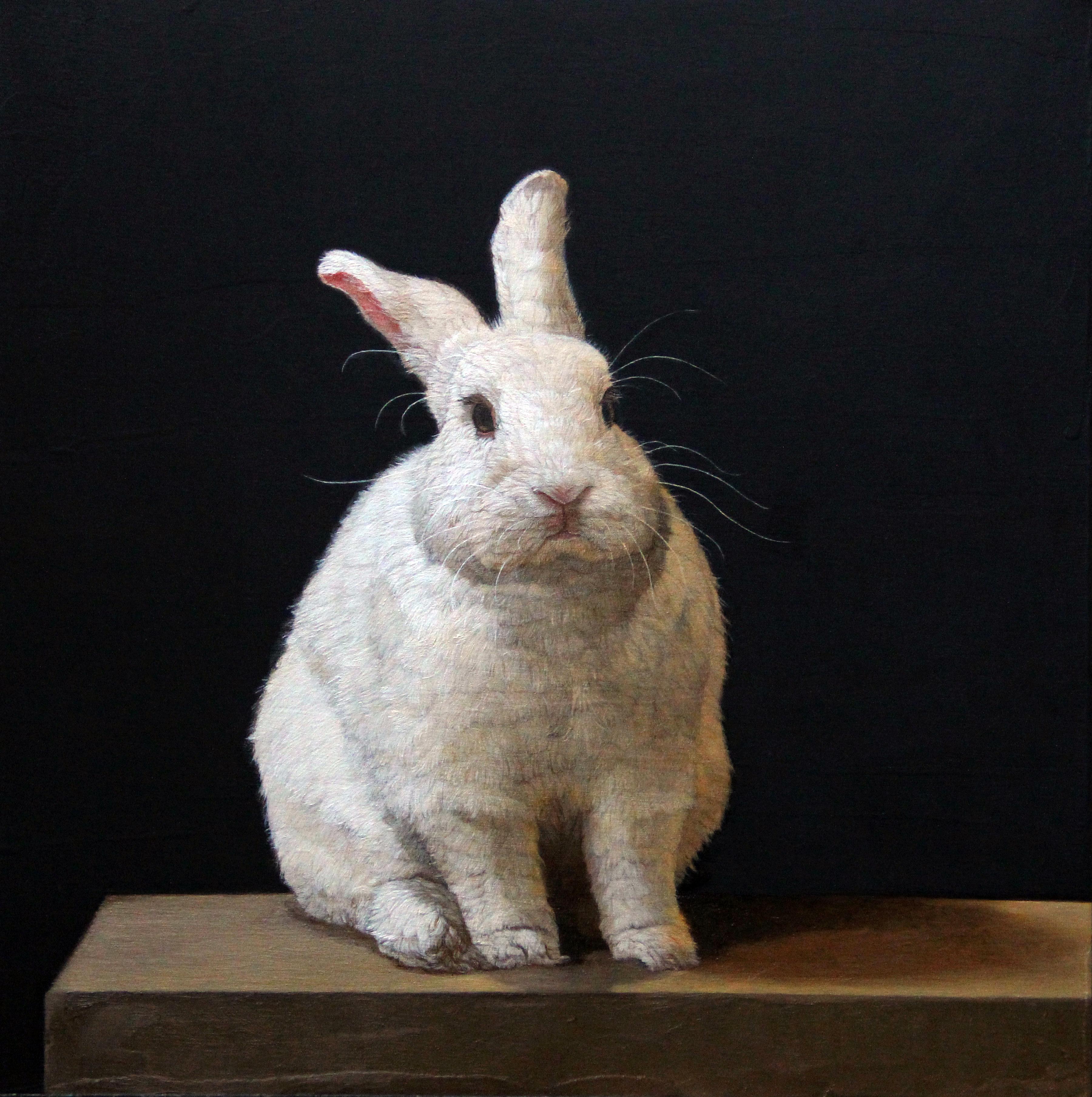 Patricia Traub Animal Painting - Hybrid Rabbit, Contemporary Realist Painting, Figurative, Animals, Oil 