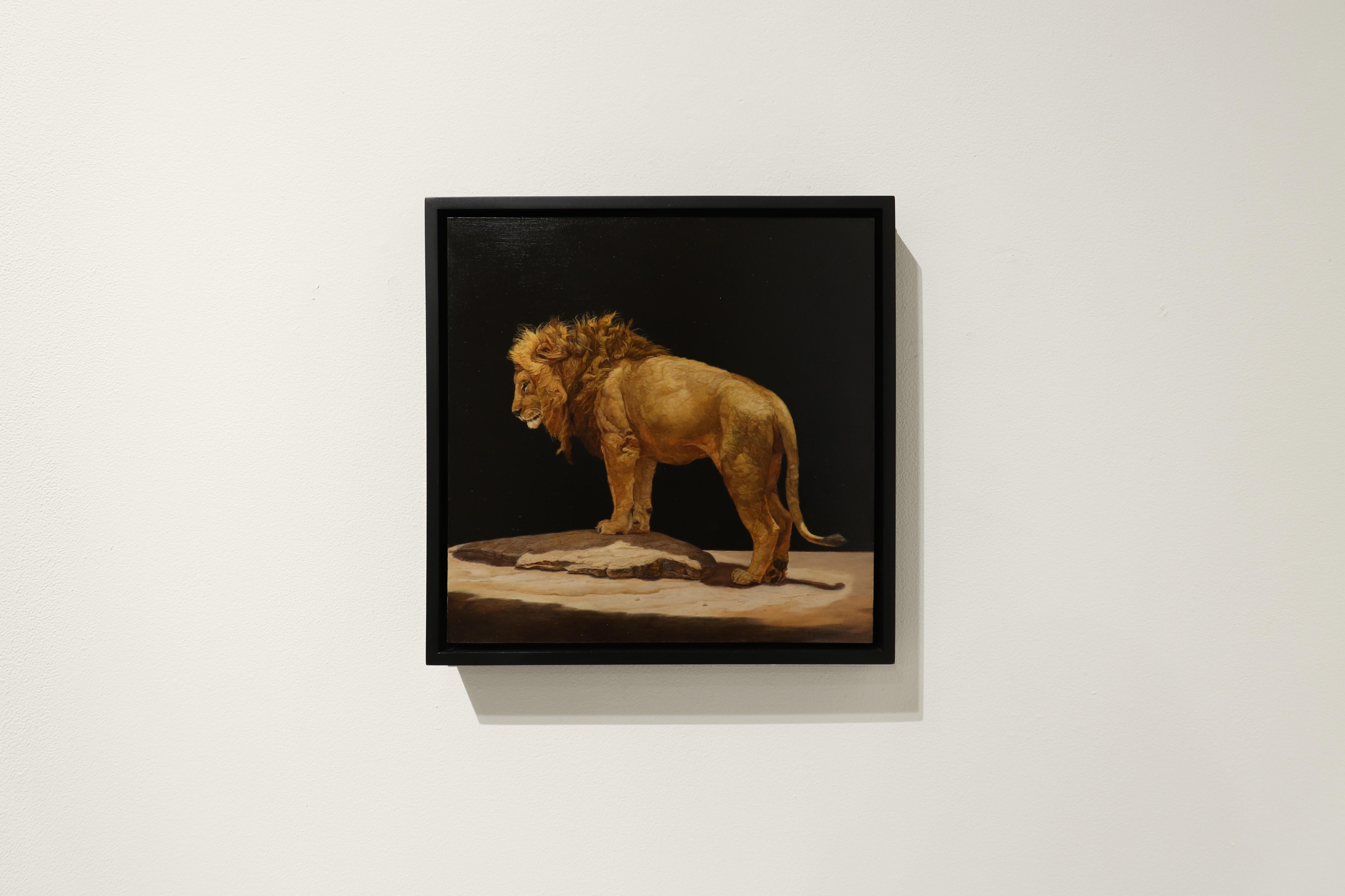 LION STANDING ON A KOPJES, Animal Portrait, Realism, Africa, Tanzania, Dark - Painting by Patricia Traub