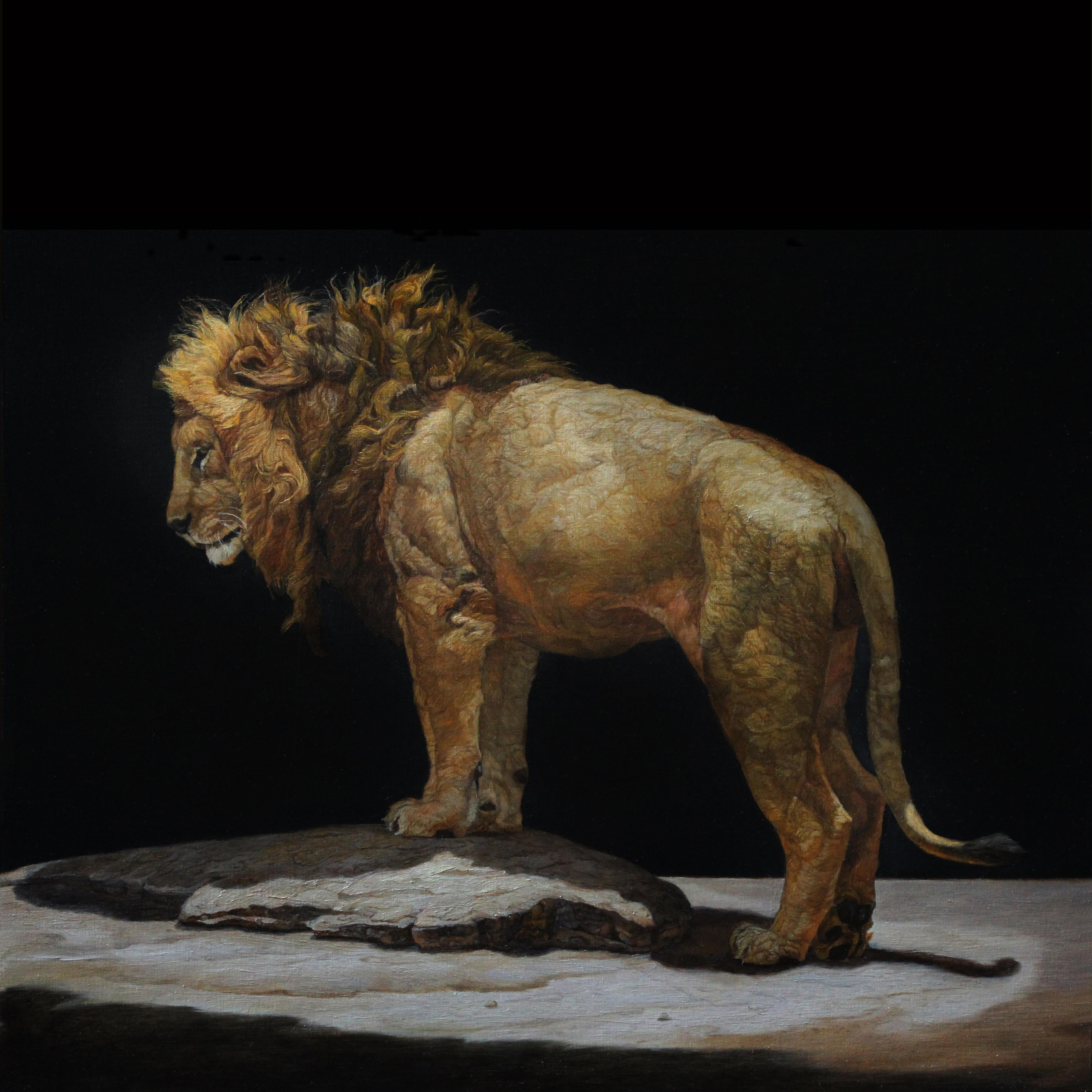 Patricia Traub Animal Painting - LION STANDING ON A KOPJES, Animal Portrait, Realism, Africa, Tanzania, Dark